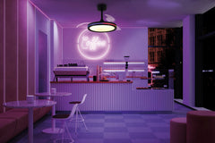 North LED Light Fan W/ Remote Control - Various Colours