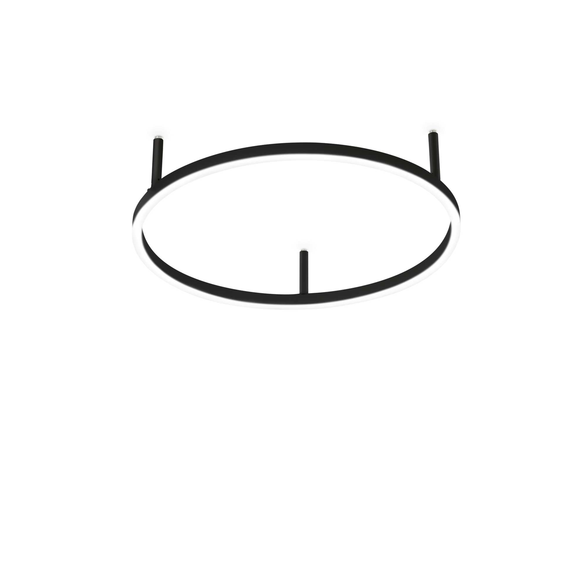 Oracle Flush Light Fitting - White/Black Finish - Cusack Lighting