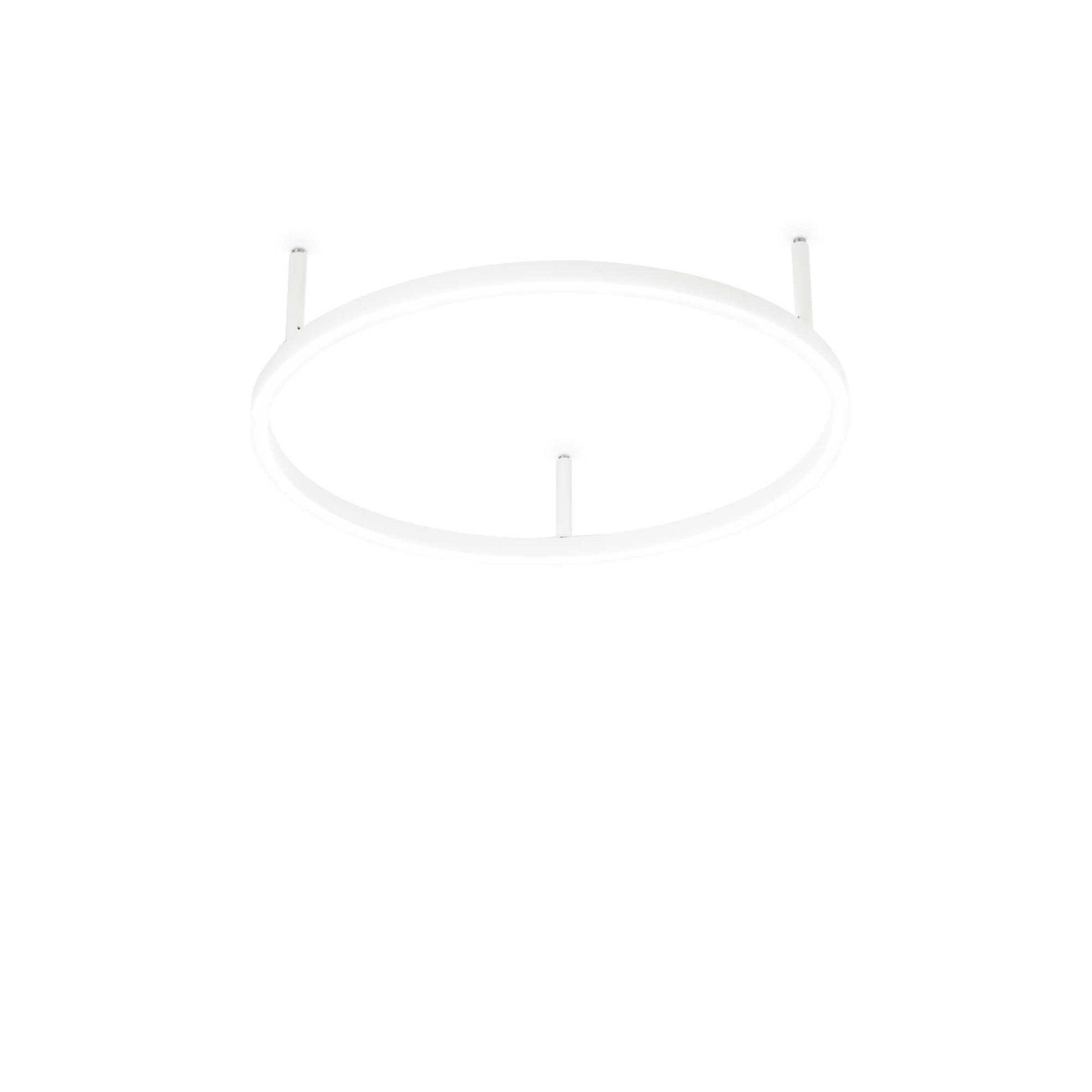 Oracle Flush Light Fitting - White/Black Finish - Cusack Lighting