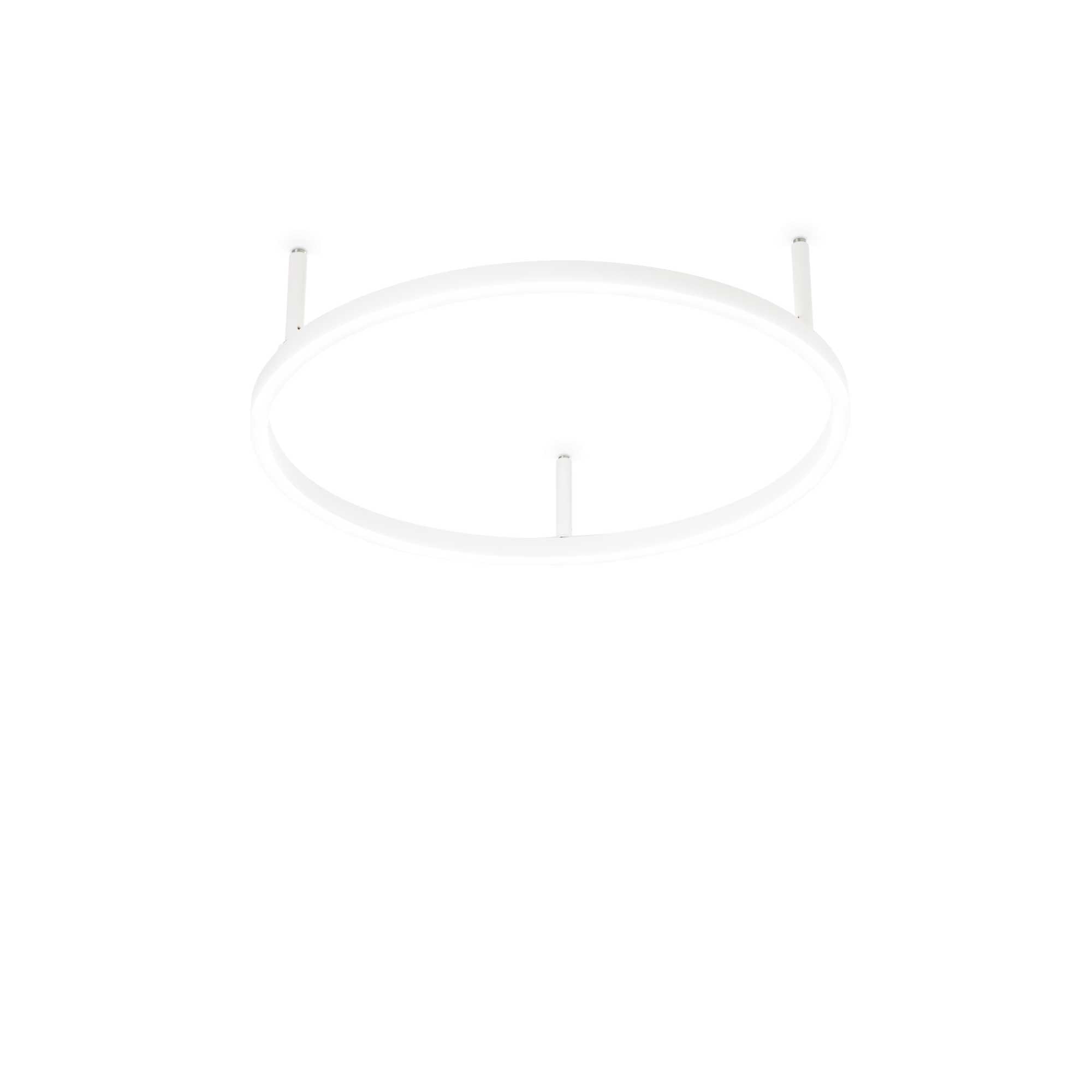 Oracle Flush Light Fitting - White/Black Finish - Cusack Lighting