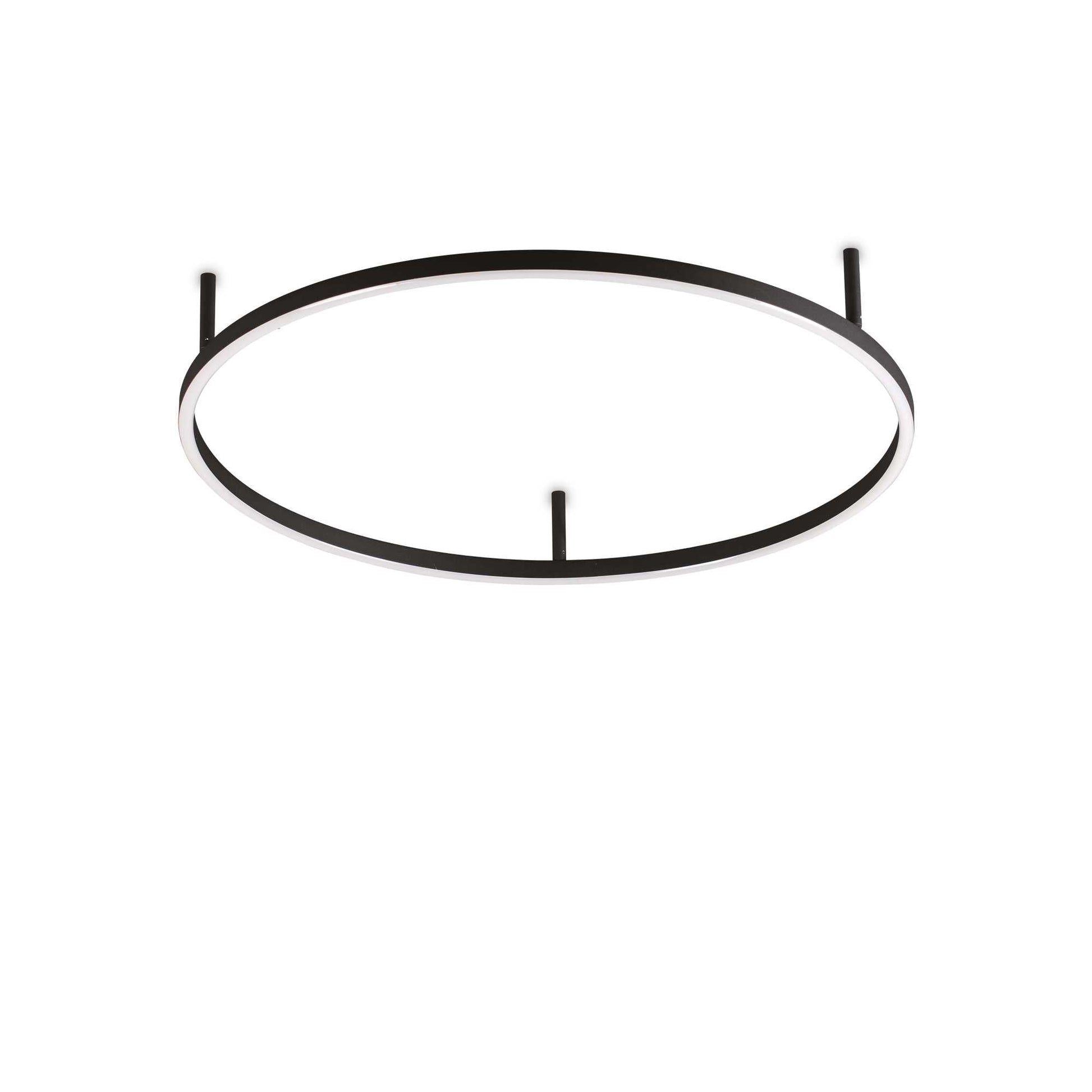 Oracle Flush Light Fitting - White/Black Finish - Cusack Lighting