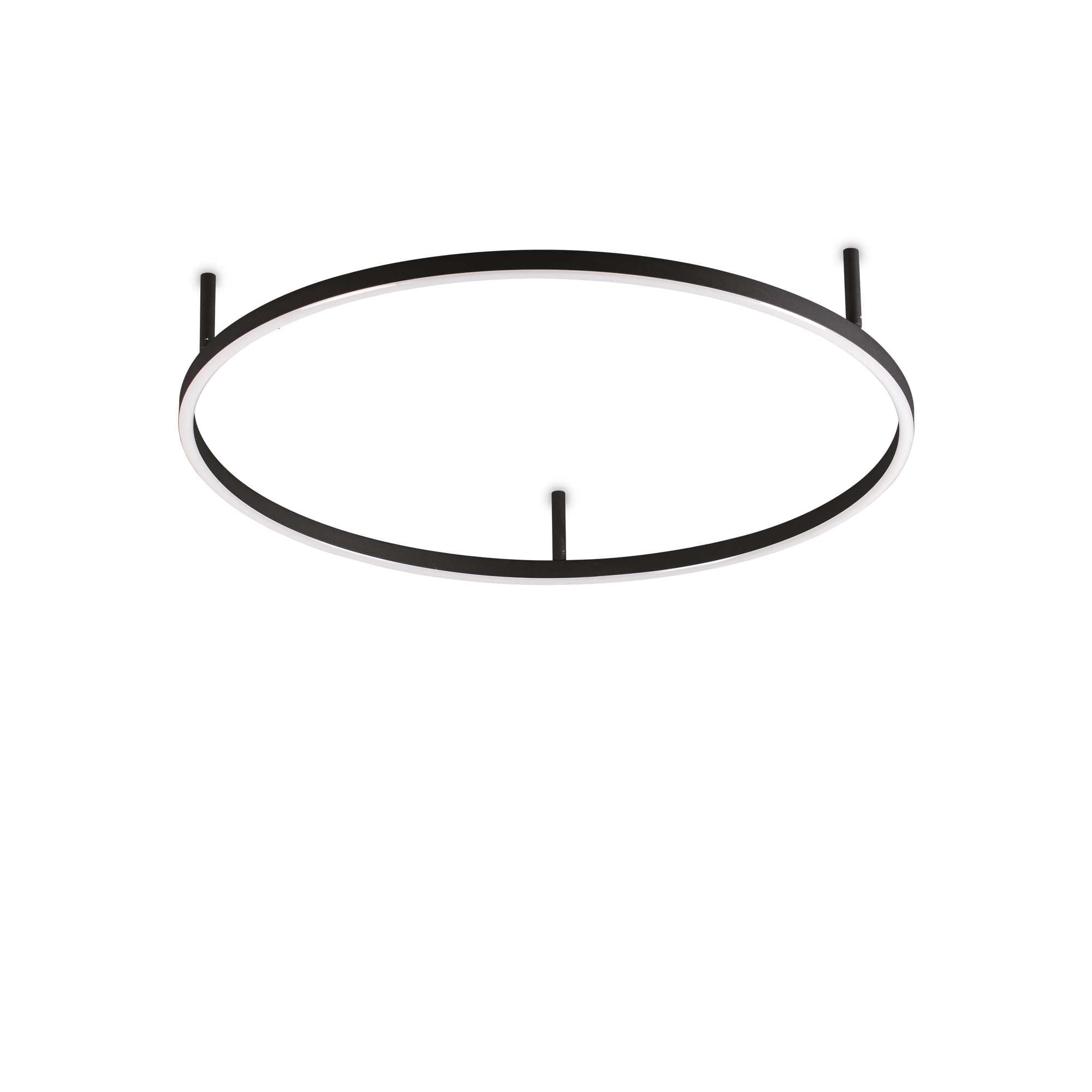 Oracle Flush Light Fitting - White/Black Finish - Cusack Lighting