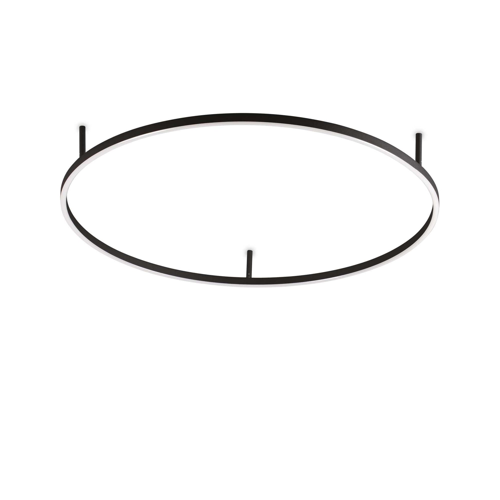 Oracle Flush Light Fitting - White/Black Finish - Cusack Lighting
