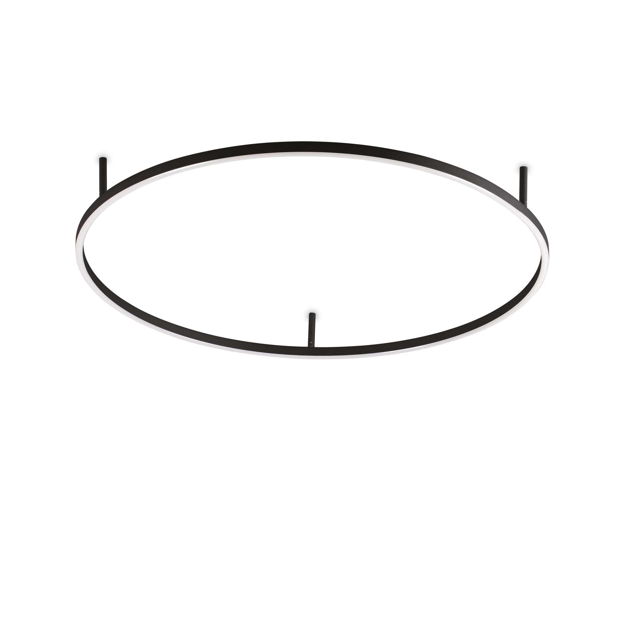 Oracle Flush Light Fitting - White/Black Finish - Cusack Lighting