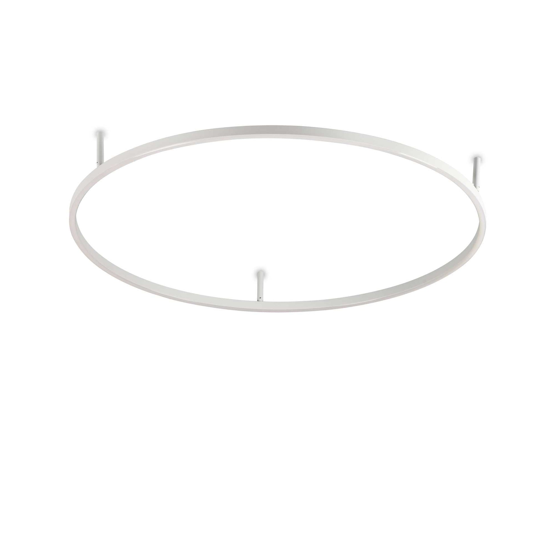 Oracle Flush Light Fitting - White/Black Finish - Cusack Lighting