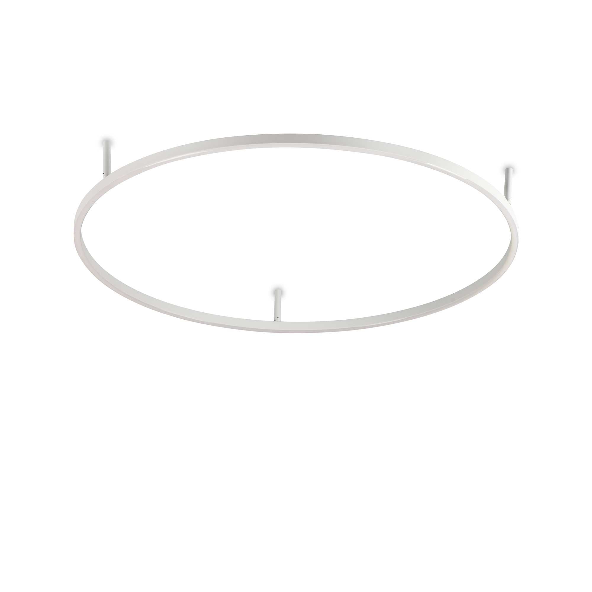 Oracle Flush Light Fitting - White/Black Finish - Cusack Lighting