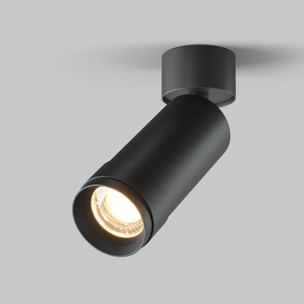 Zoom Focus Ceiling Light- Black & White Finishes