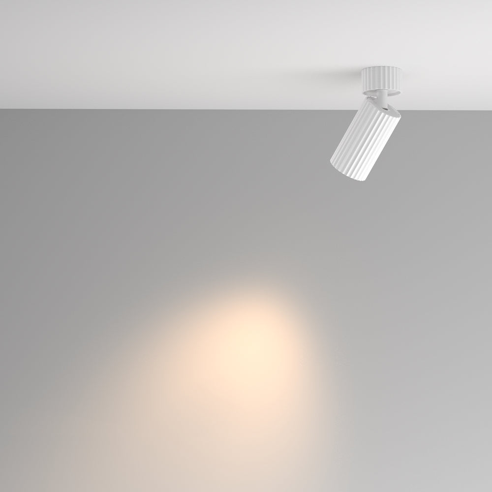 Calipso Directional Spotlight- Various Colors