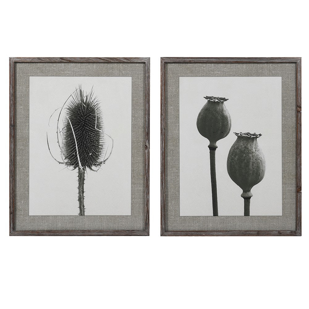 Pair of Poppy and Teasel Prints