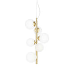 Perlage Centre Ceiling Light Fitting - Brass/Black Finish - Cusack Lighting