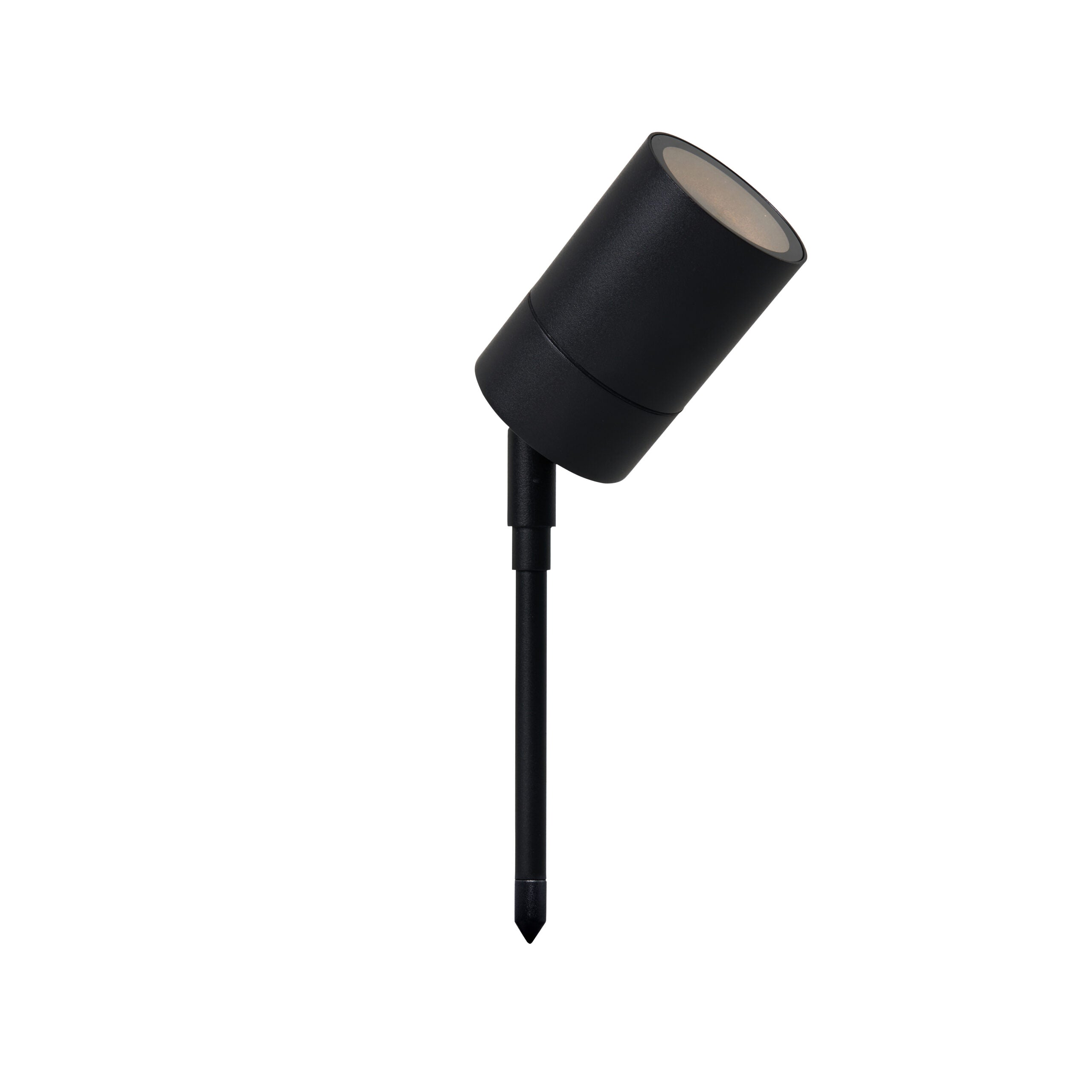 Leto Outdoor Spike Light- Black/ Stainless Steel Finish