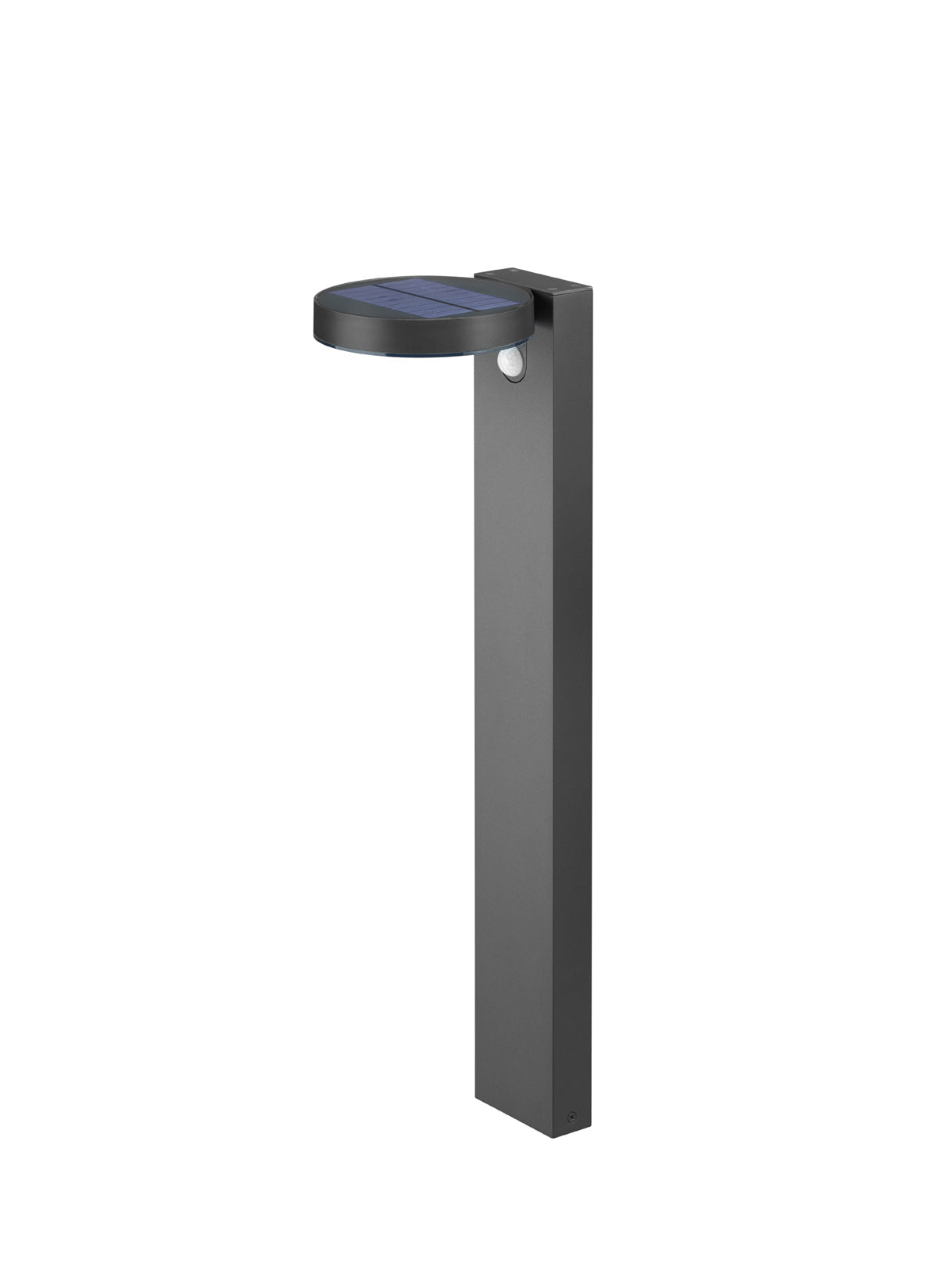 Posadas LED Solar Powered Pole
