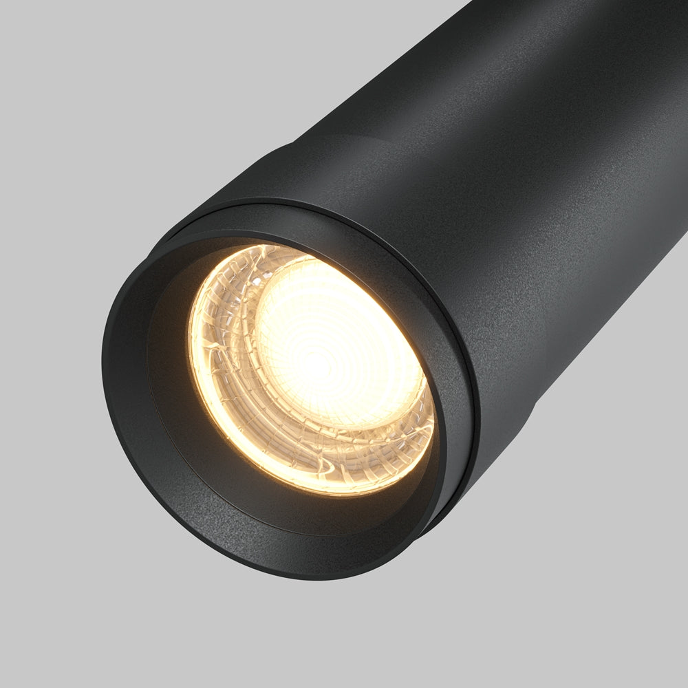 Zoom Focus Ceiling Light- Black & White Finishes