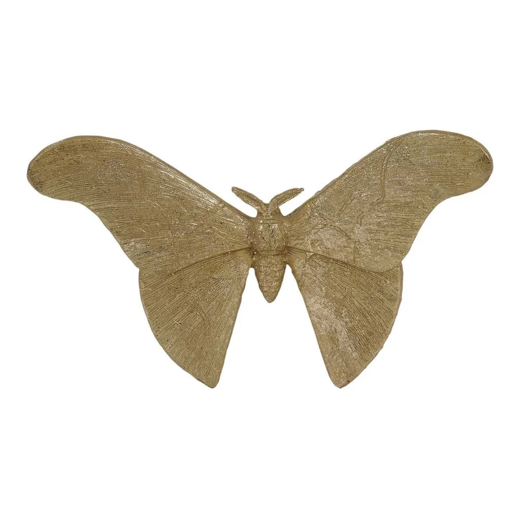 Butterfly Pair
