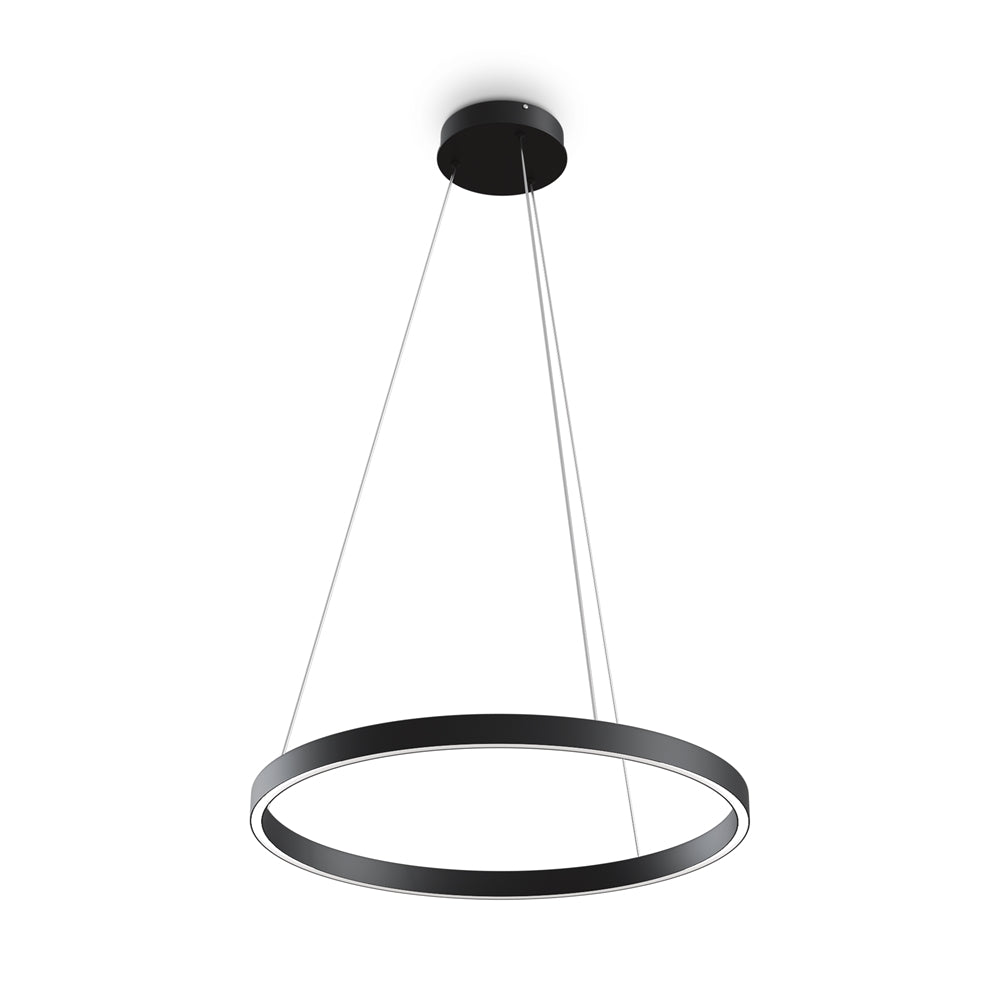 Rim 1 LED Pendant Ceiling Light  - Black / Gold, Various Sizes