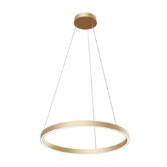 Rim Small pendant Ceiling Light - Brass Finish IP20