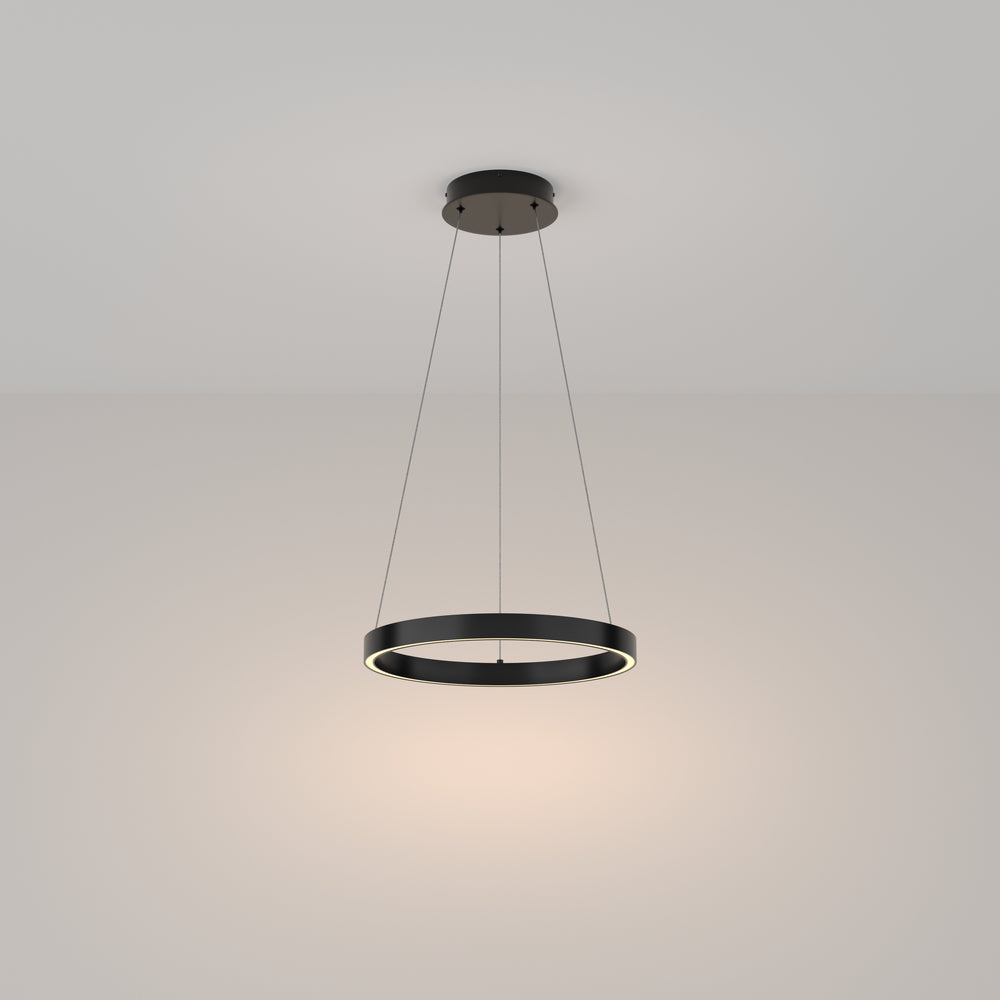 Rim 1 LED Pendant Ceiling Light  - Black / Gold, Various Sizes