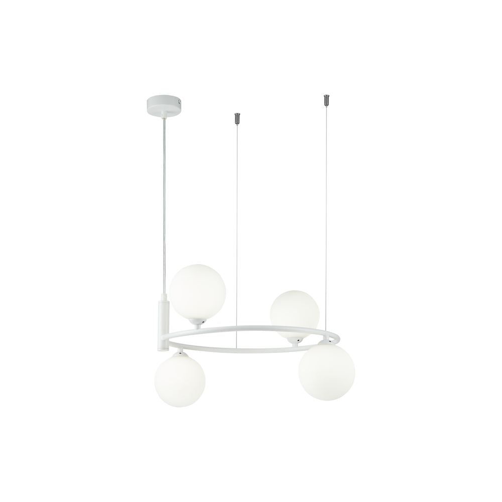 MAYTONI | Ring 4lt Pendant Lamp | White