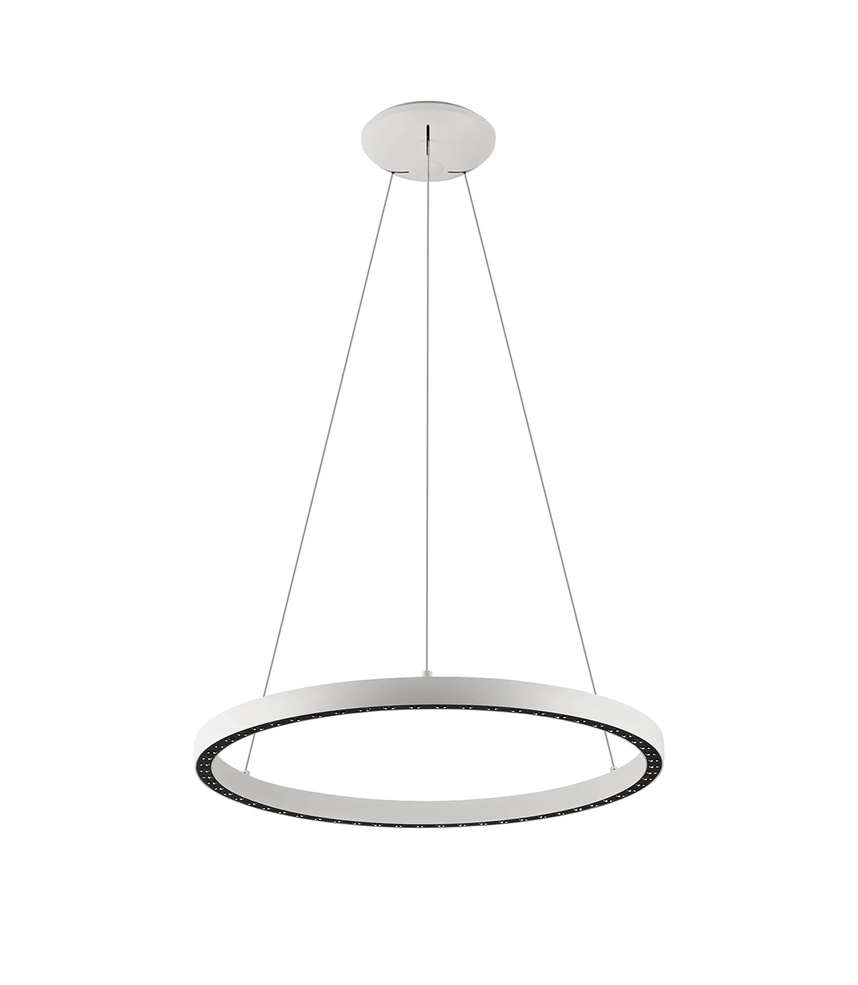 Reeves 65W/80W LED Ring Pendant - Various Colours