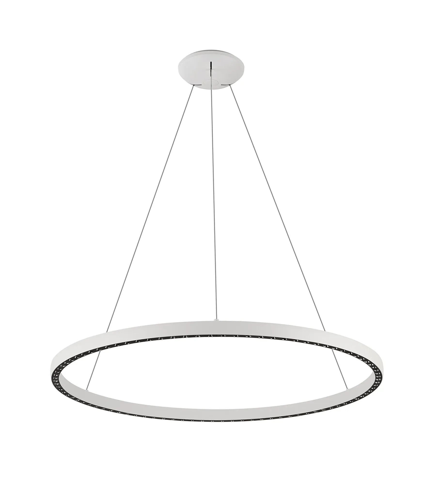 Reeves 65W/80W LED Ring Pendant - Various Colours