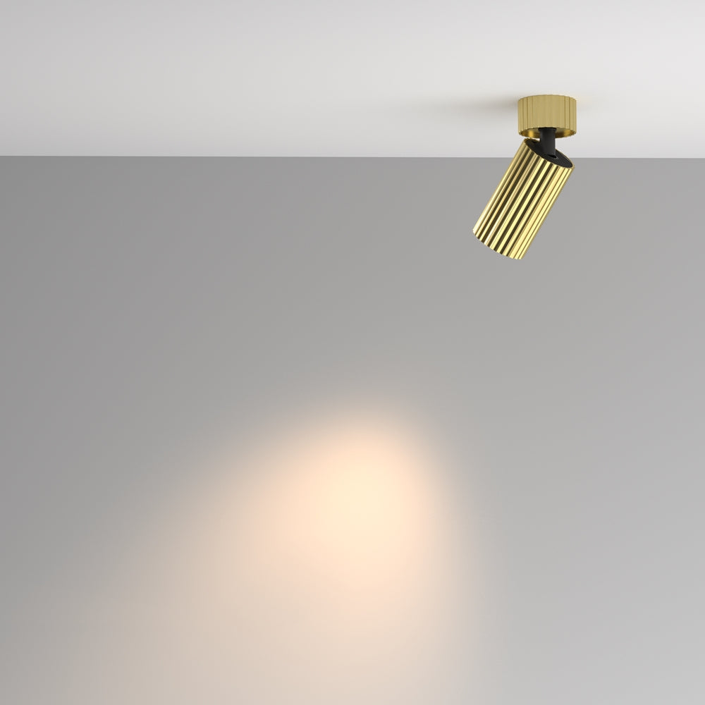 Calipso Directional Spotlight- Various Colors