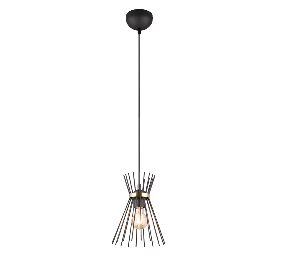 Rod Hanging Pendant - Black & Gold Finish