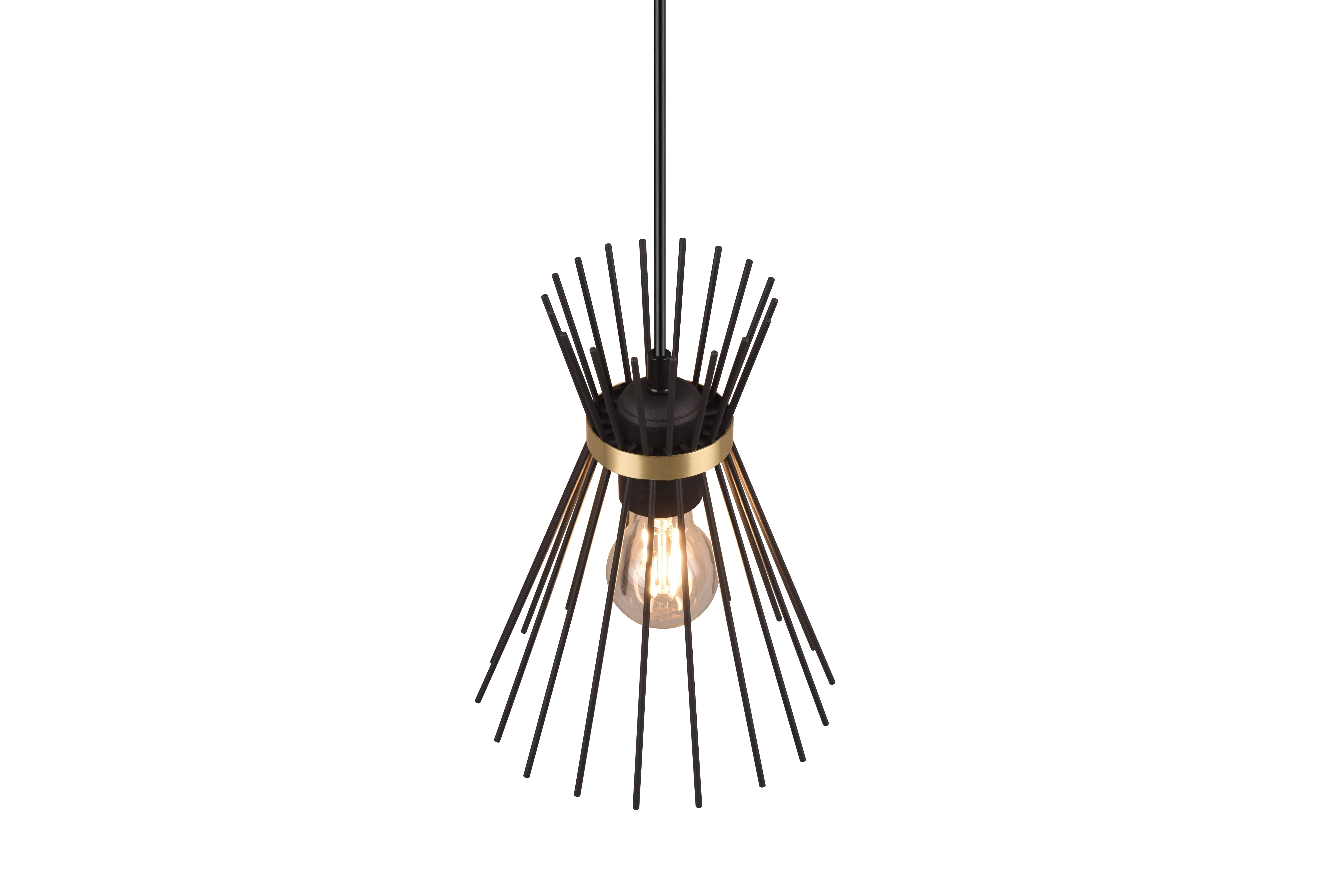 Rod Hanging Pendant - Black & Gold Finish