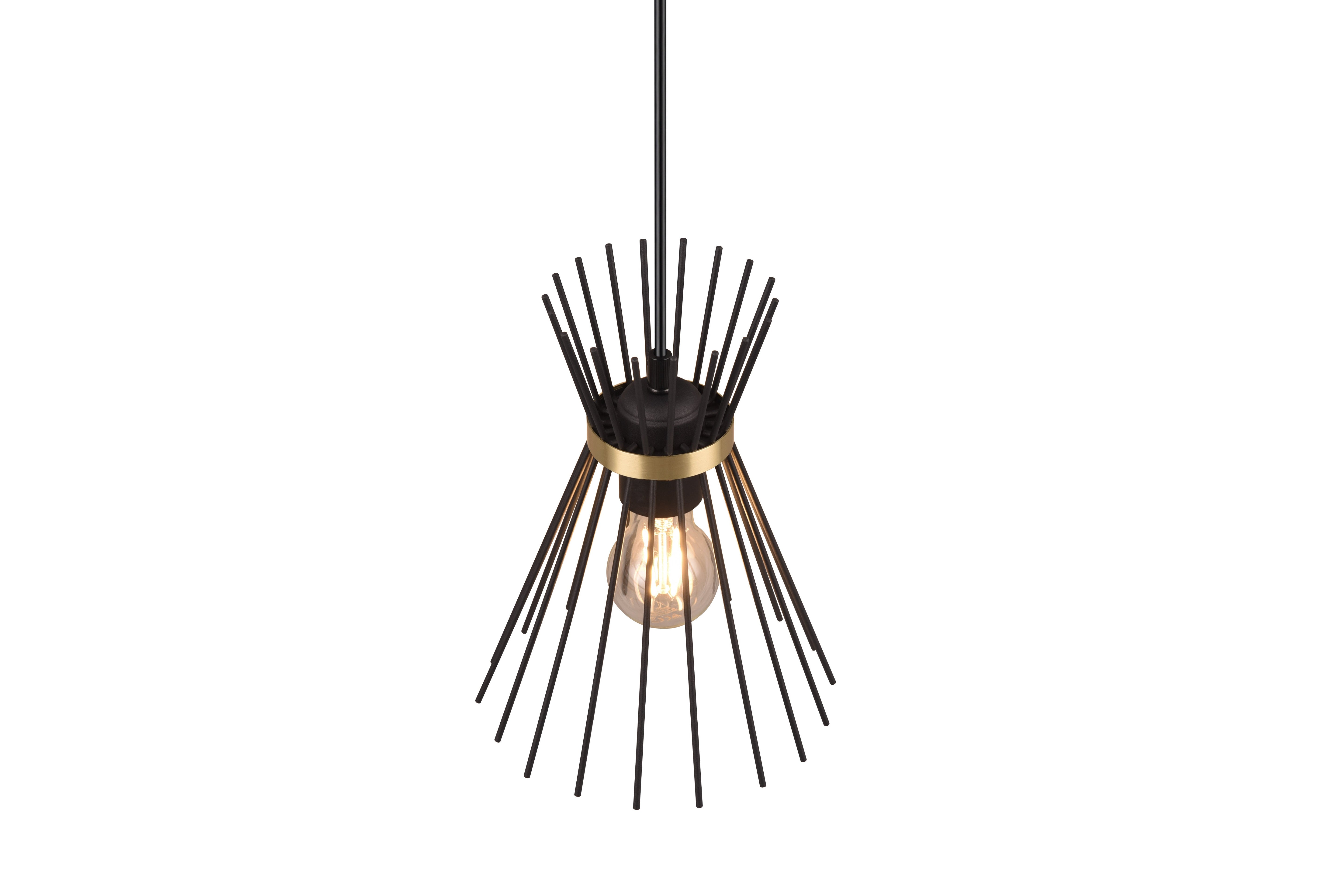 Rod Hanging Pendant - Black & Gold Finish