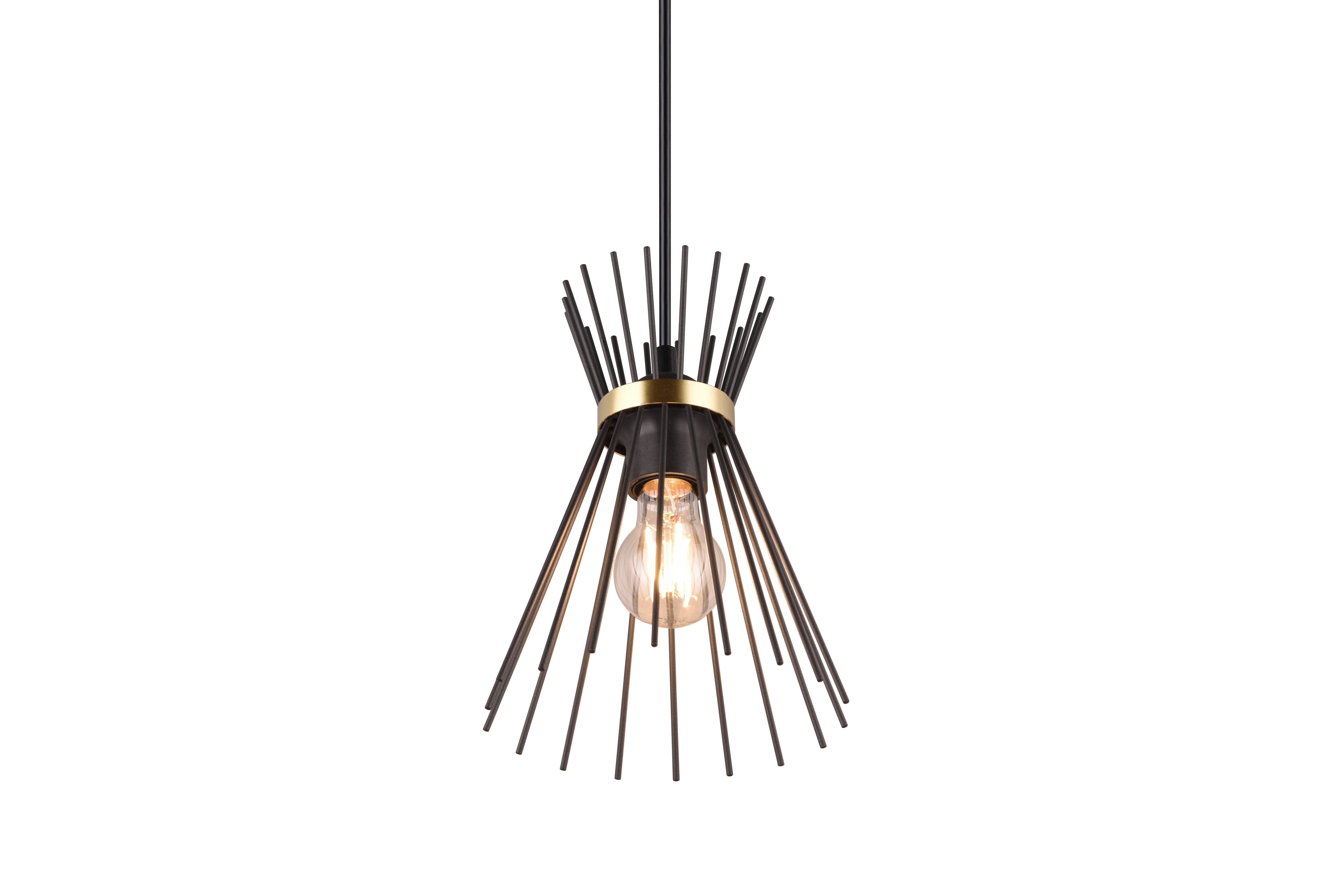 Rod Hanging Pendant - Black & Gold Finish