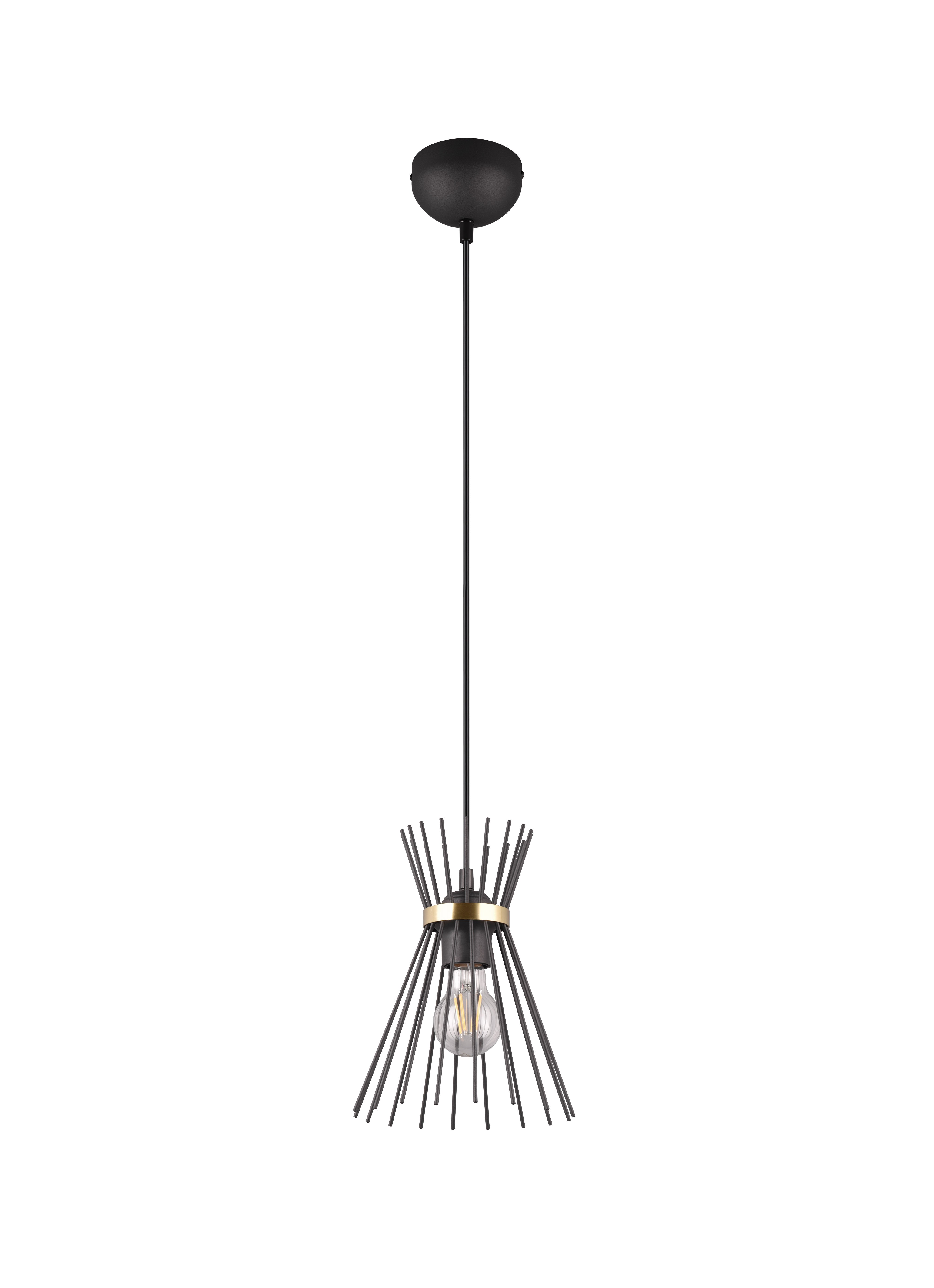 Rod Hanging Pendant - Black & Gold Finish