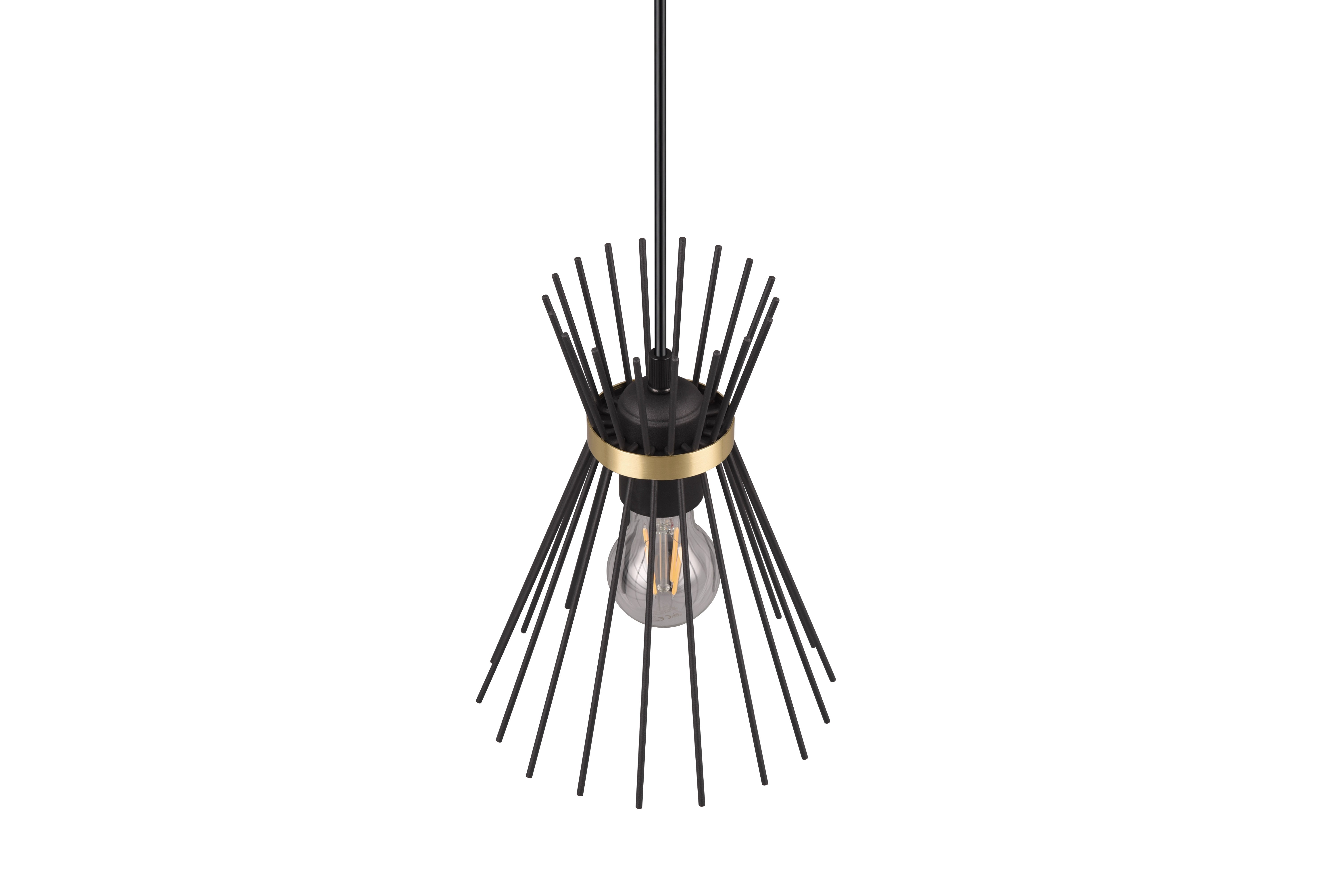 Rod Hanging Pendant - Black & Gold Finish