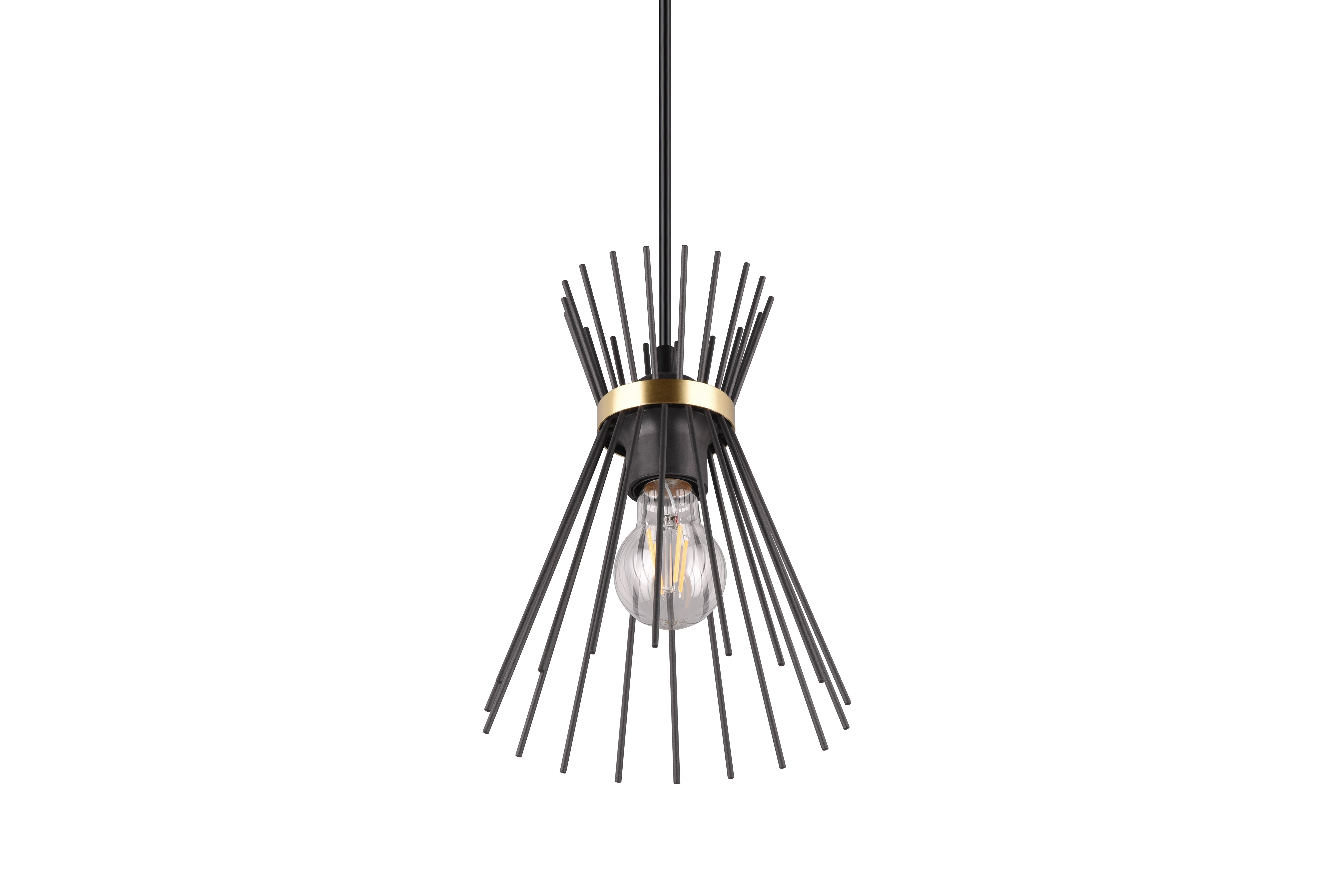 Rod Hanging Pendant - Black & Gold Finish