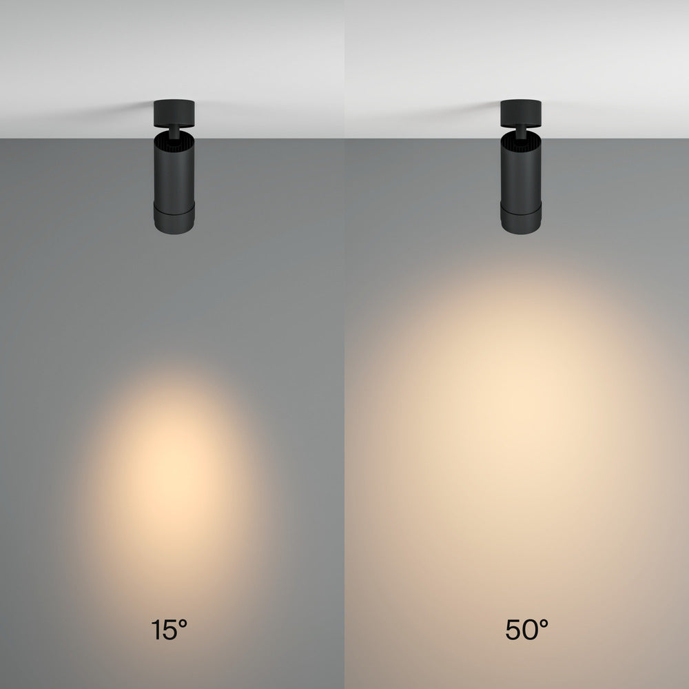 Zoom Focus Ceiling Light- Black & White Finishes