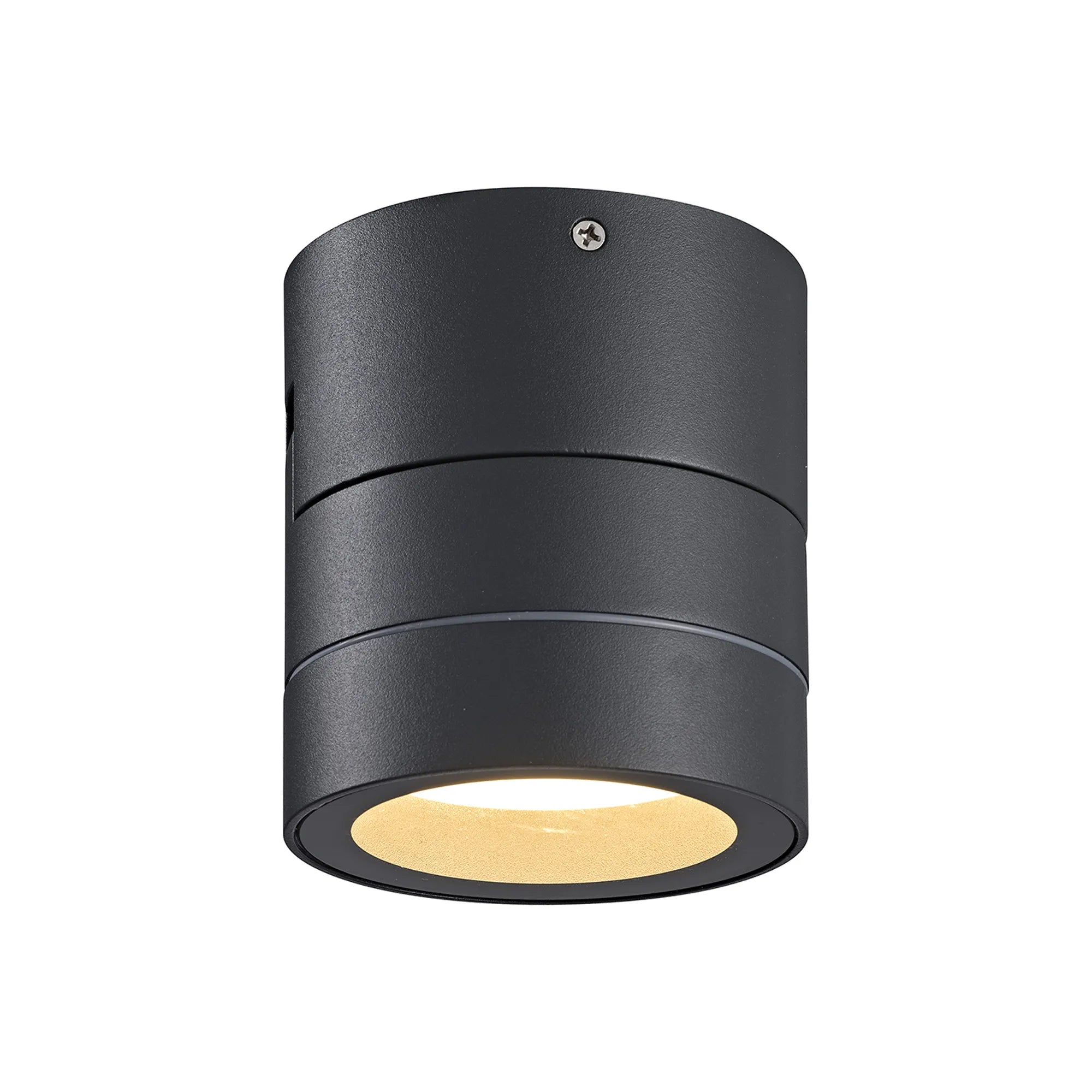 Saler Adjustable Outdoor Ceiling Spotlight/Wall Light- Various Finishes