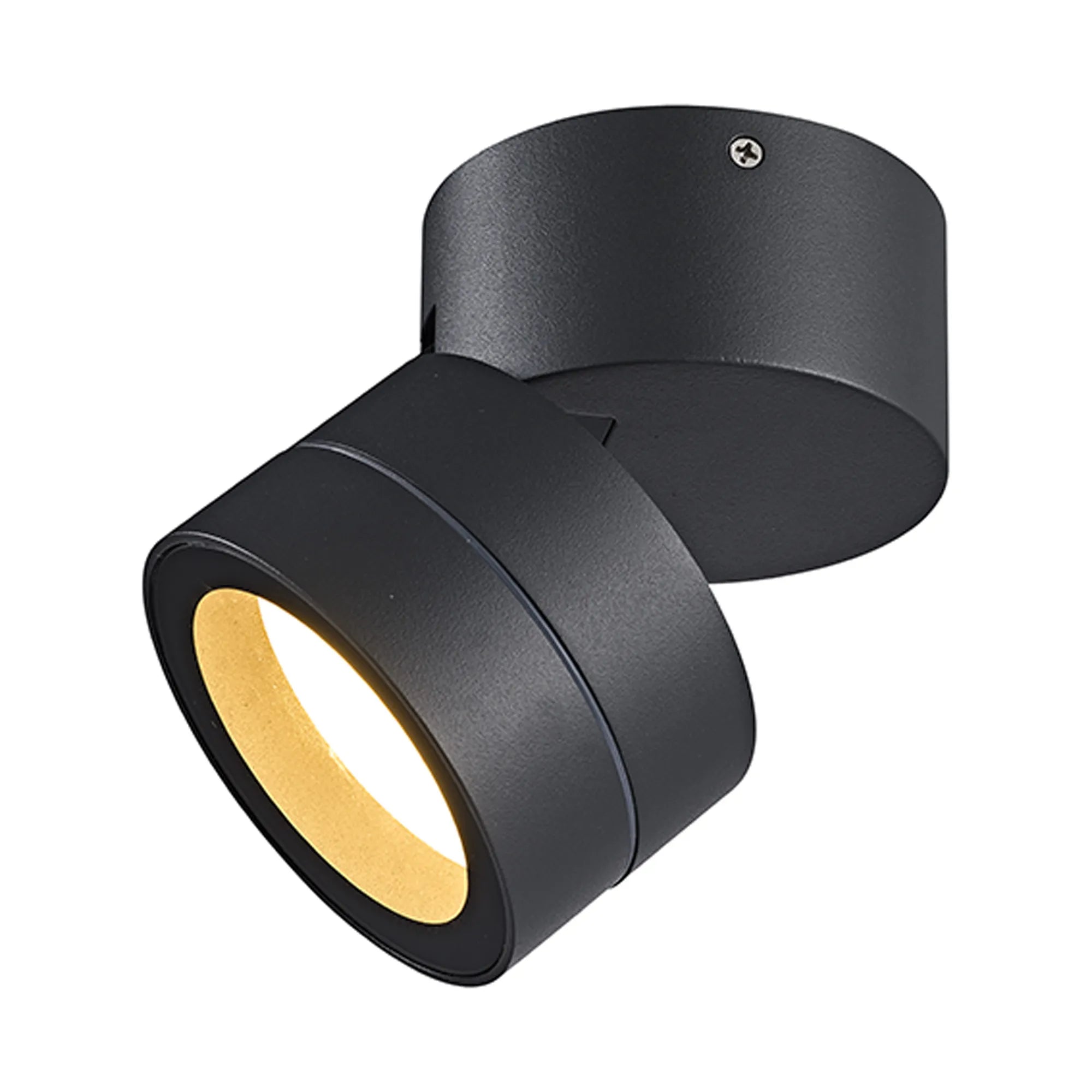 Saler Adjustable Outdoor Ceiling Spotlight/Wall Light- Various Finishes