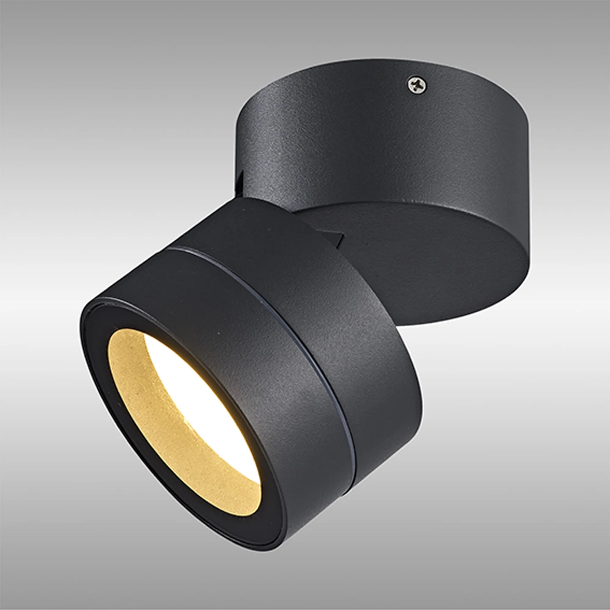 Saler Adjustable Outdoor Ceiling Spotlight/Wall Light- Various Finishes