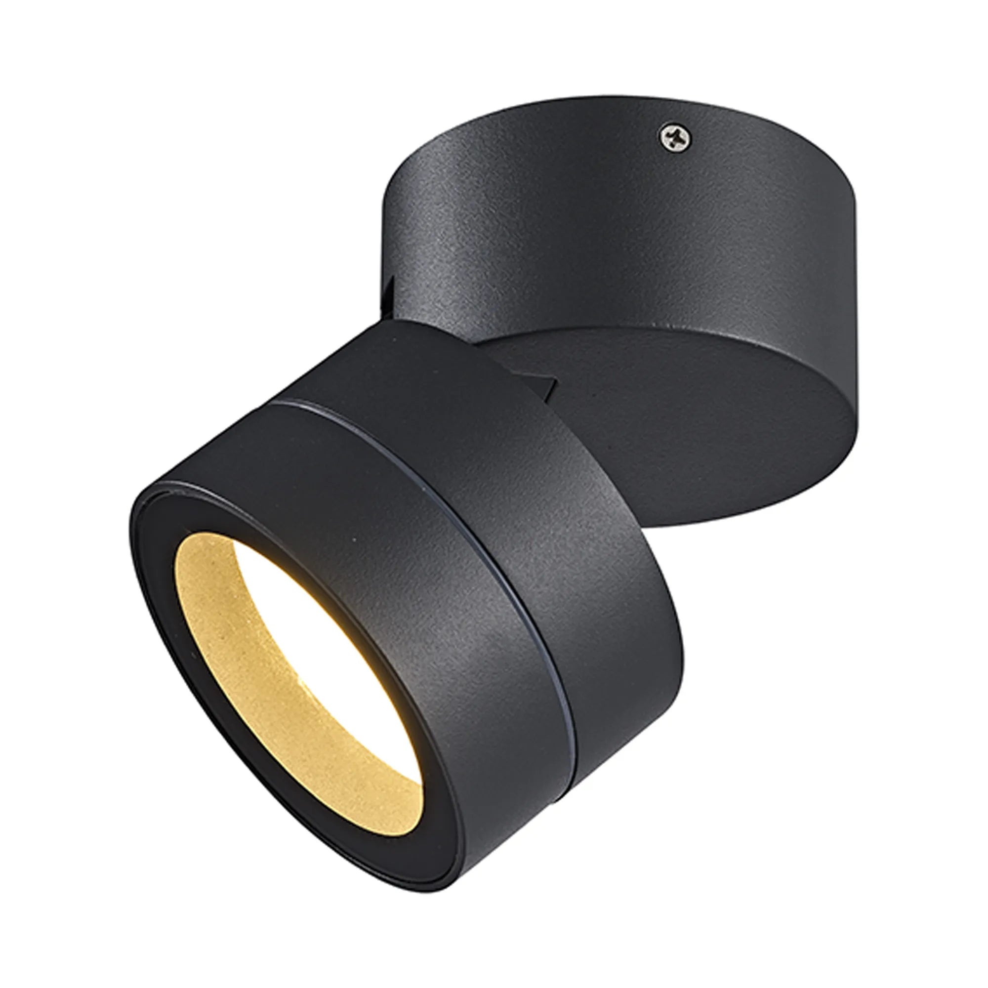Saler Adjustable Outdoor Ceiling Spotlight/Wall Light- Various Finishes