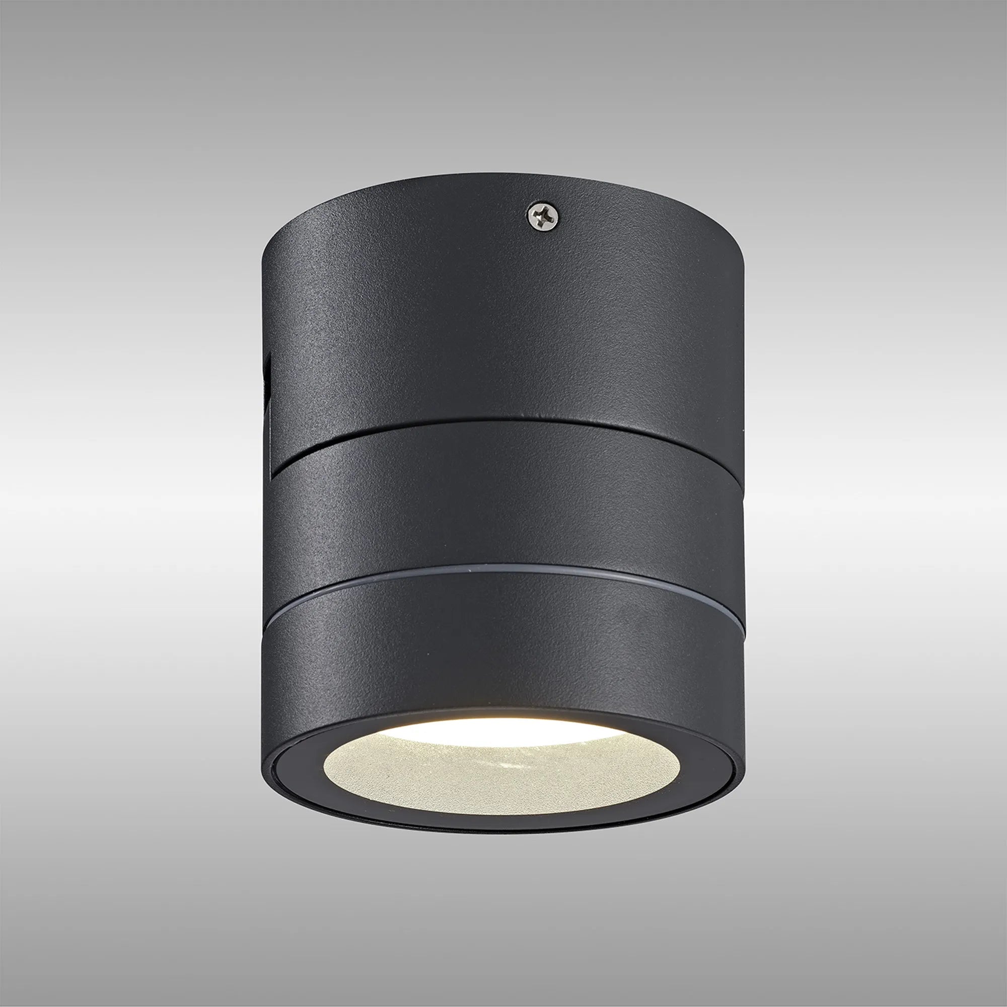 Saler Adjustable Outdoor Ceiling Spotlight/Wall Light- Various Finishes