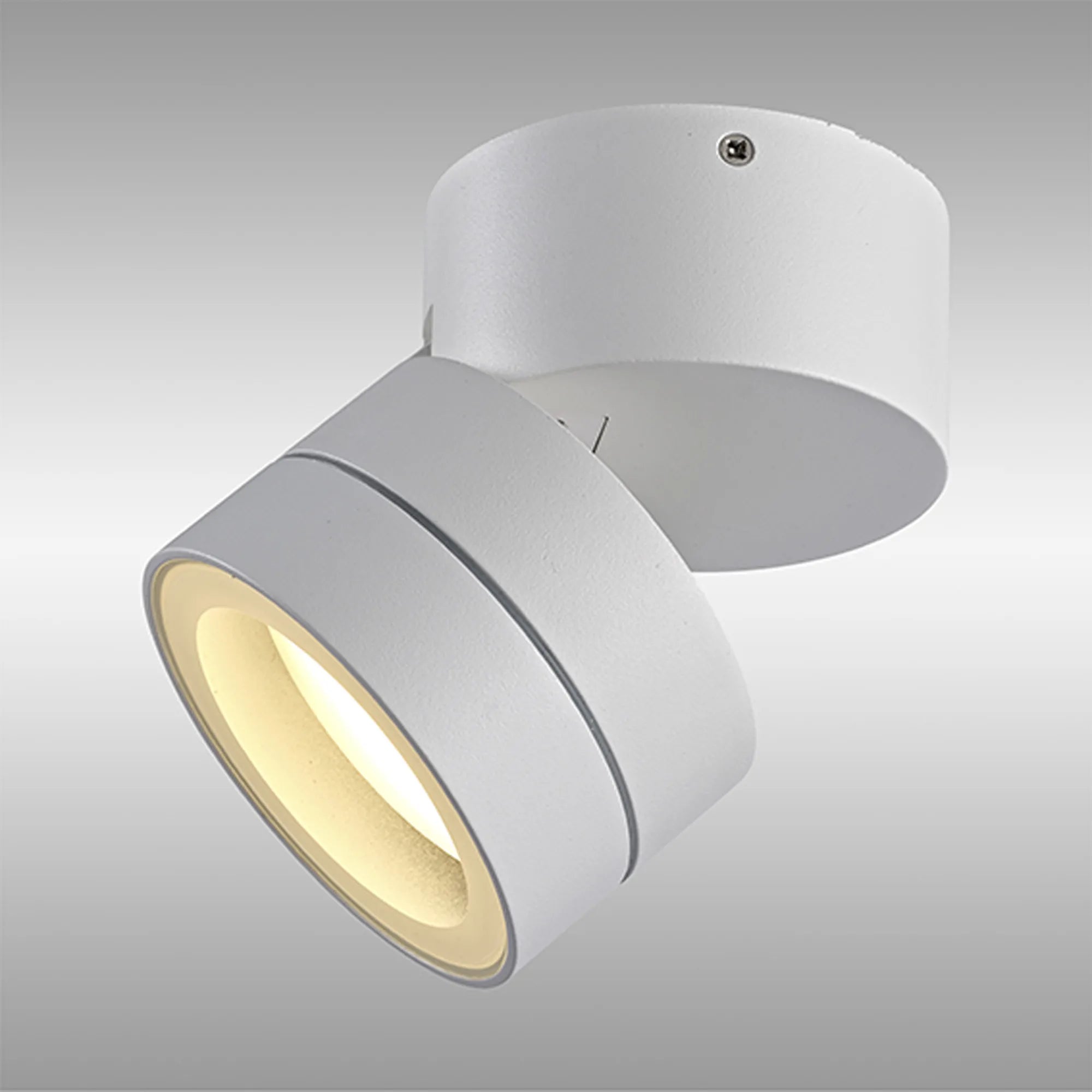 Saler Adjustable Outdoor Ceiling Spotlight/Wall Light- Various Finishes