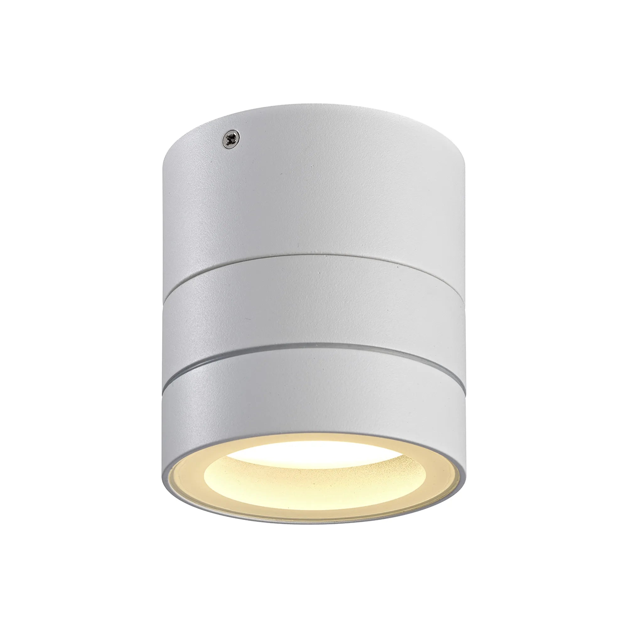 Saler Adjustable Outdoor Ceiling Spotlight/Wall Light- Various Finishes