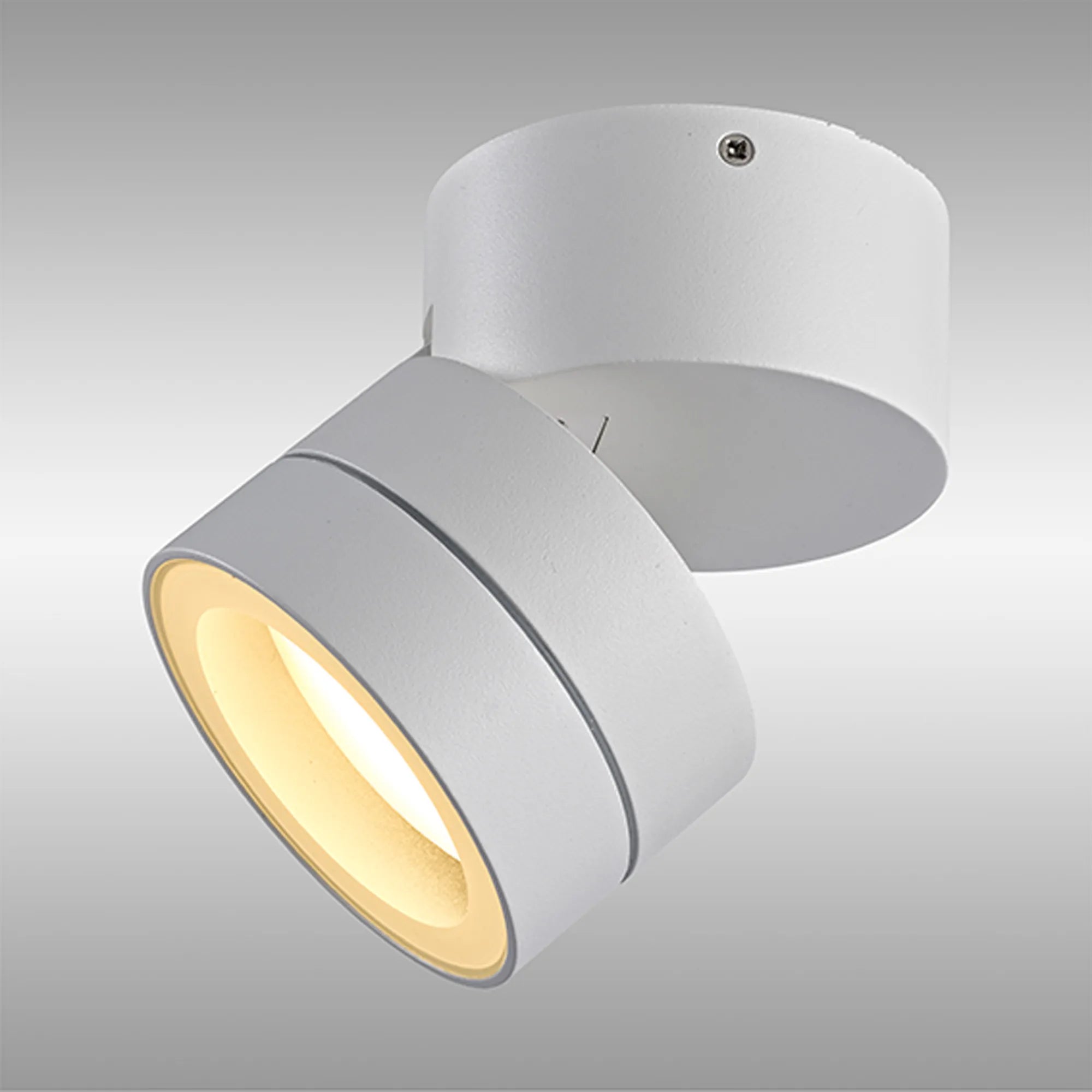 Saler Adjustable Outdoor Ceiling Spotlight/Wall Light- Various Finishes
