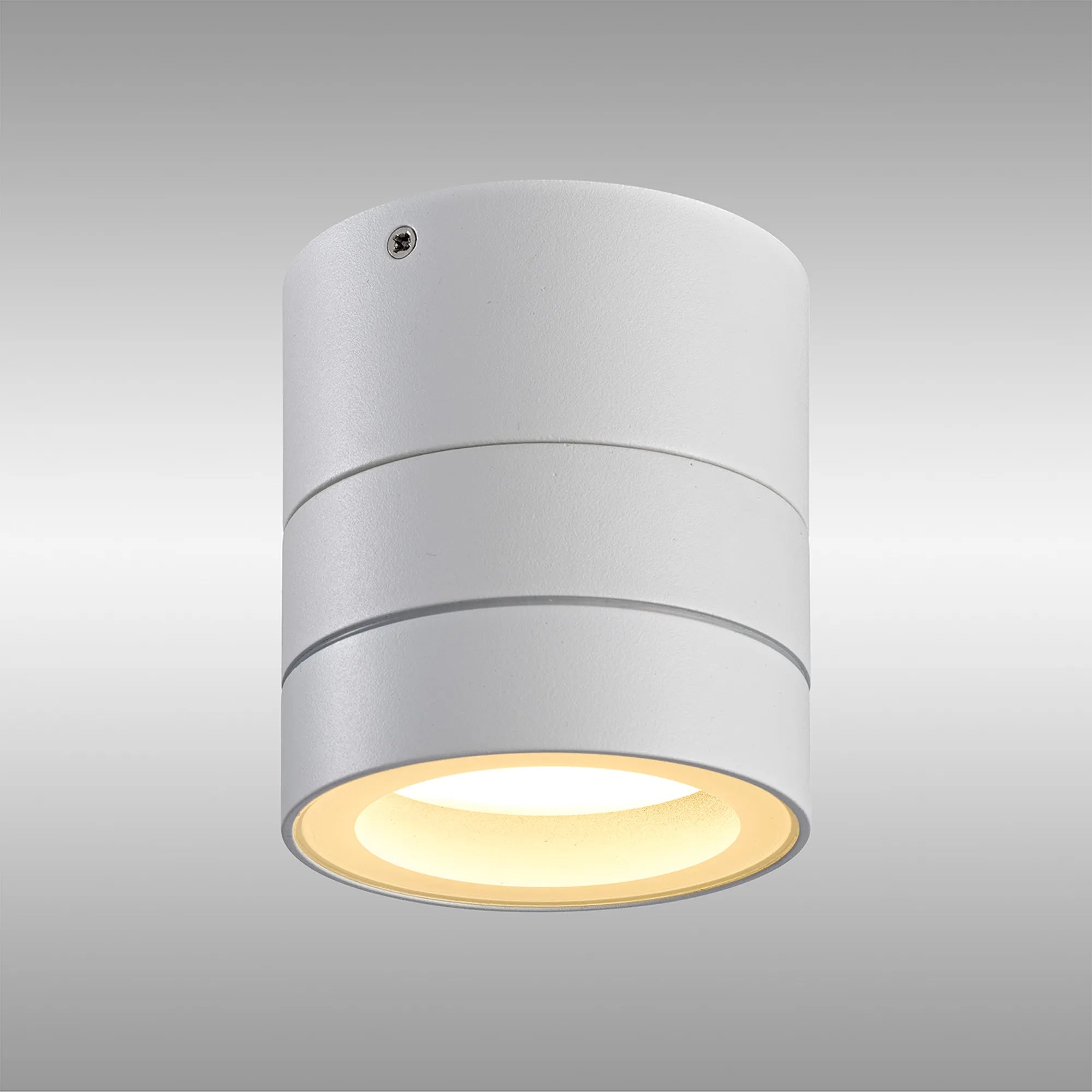 Saler Adjustable Outdoor Ceiling Spotlight/Wall Light- Various Finishes