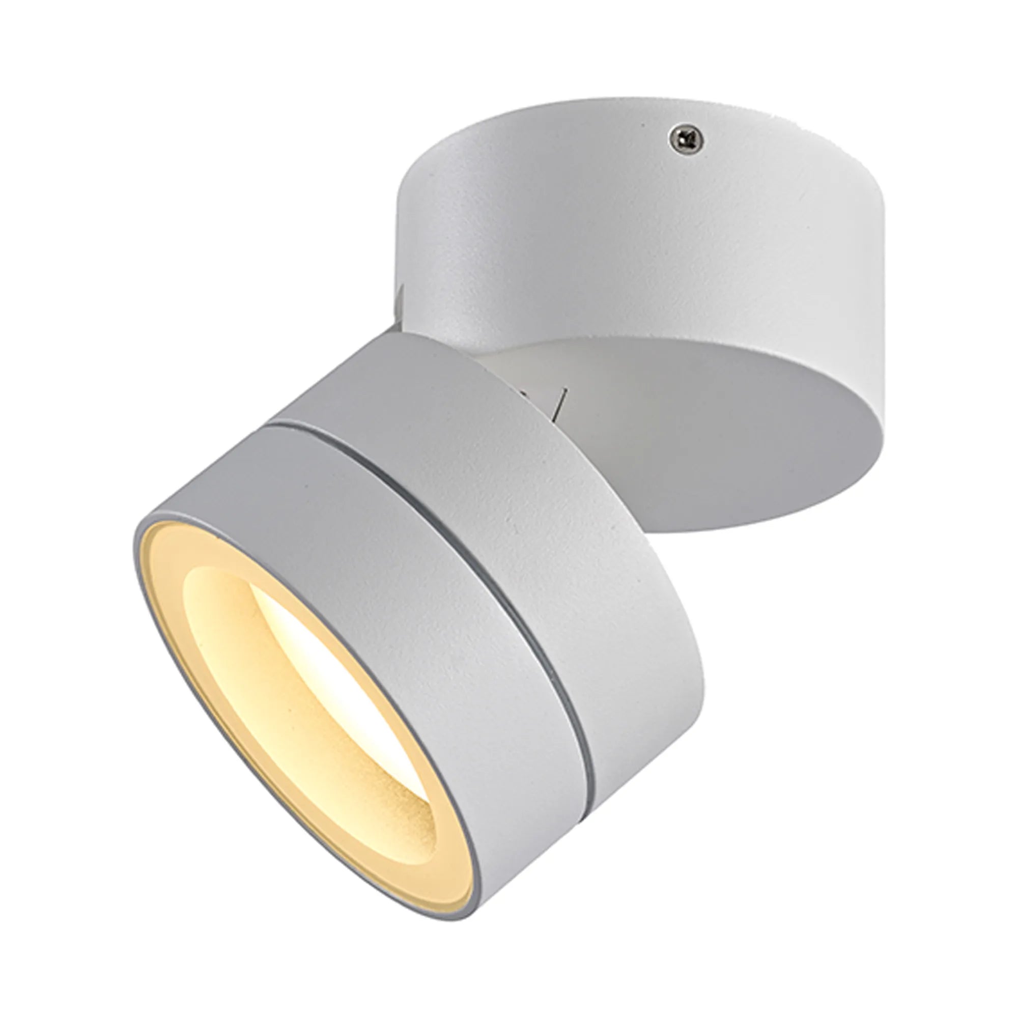 Saler Adjustable Outdoor Ceiling Spotlight/Wall Light- Various Finishes