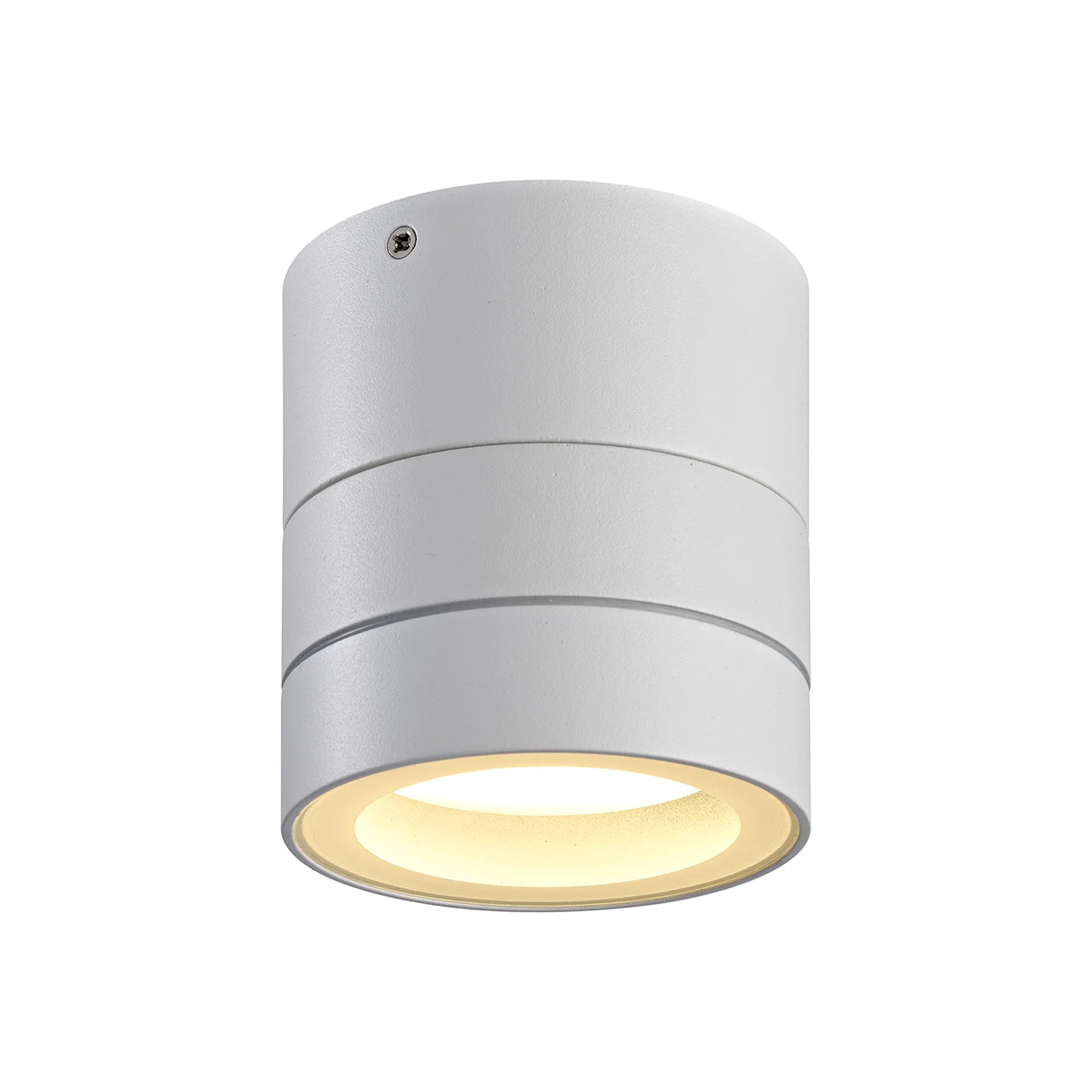 Saler Adjustable Outdoor Ceiling Spotlight/Wall Light- Various Finishes