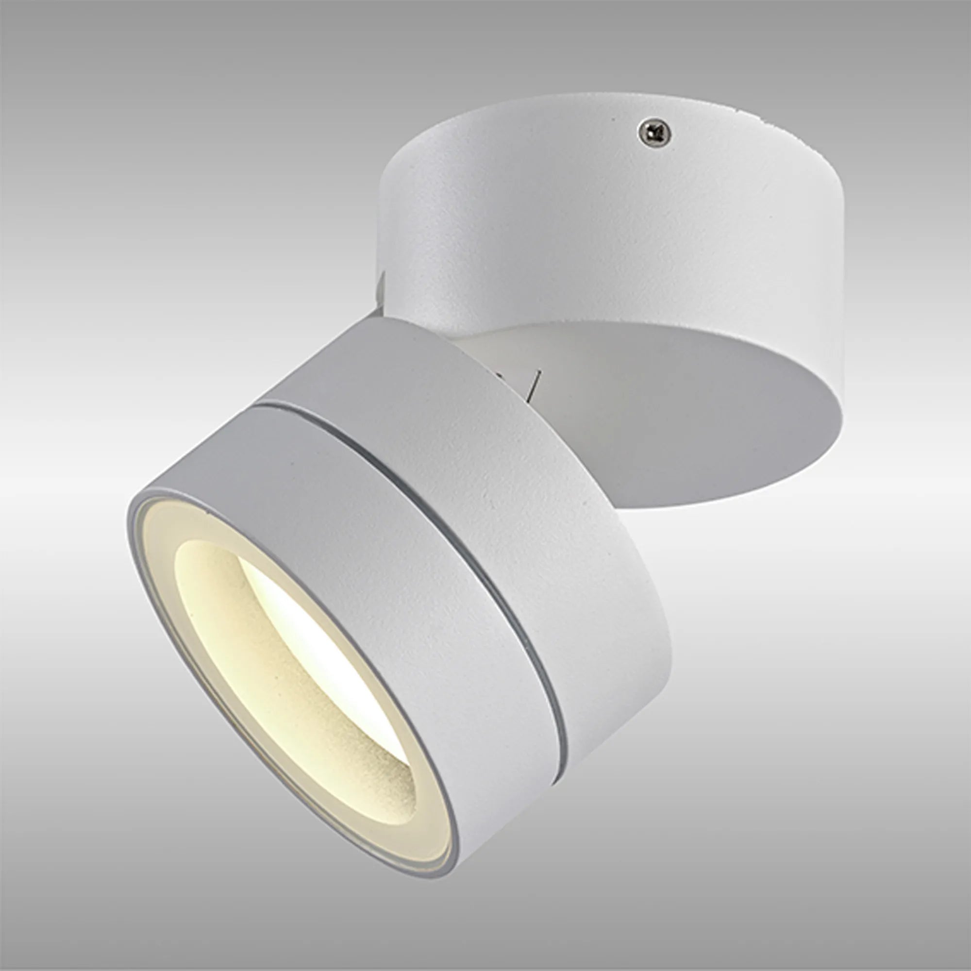 Saler Adjustable Outdoor Ceiling Spotlight/Wall Light- Various Finishes