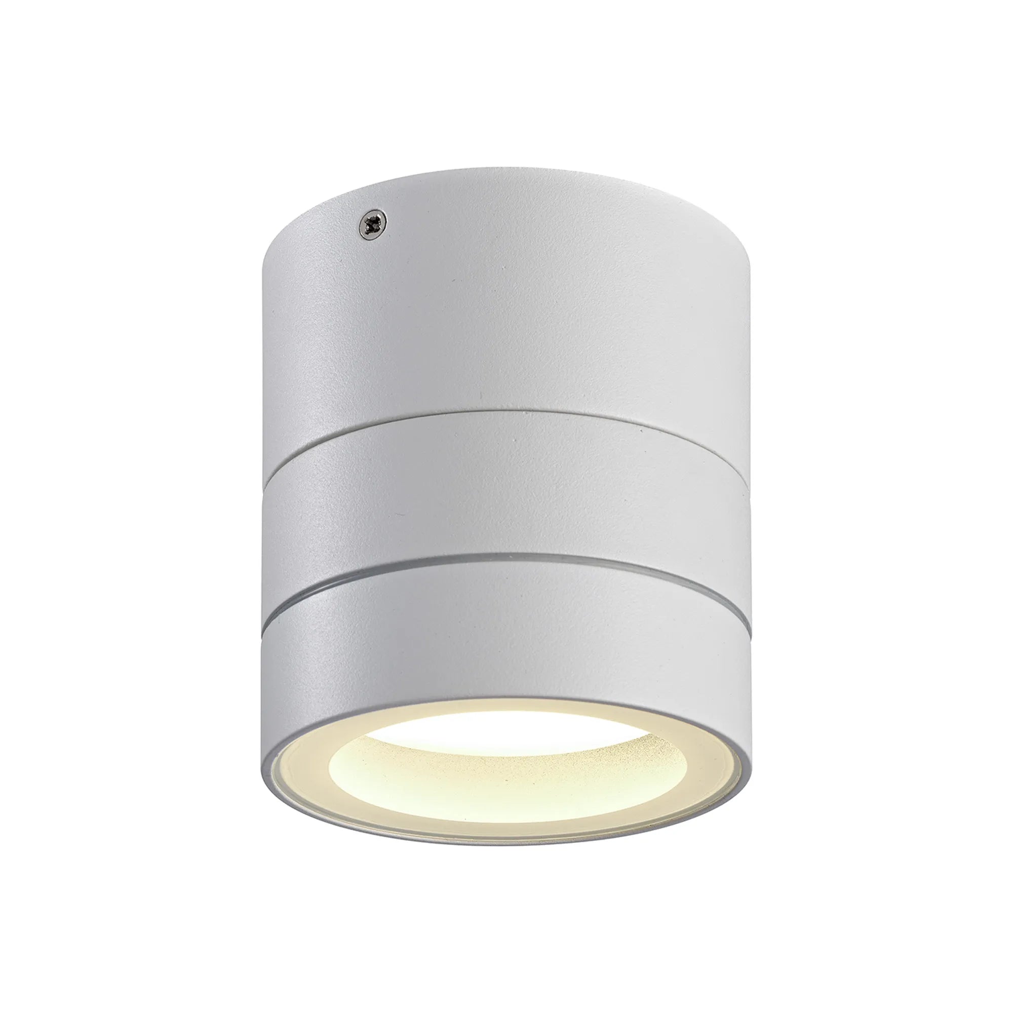 Saler Adjustable Outdoor Ceiling Spotlight/Wall Light- Various Finishes