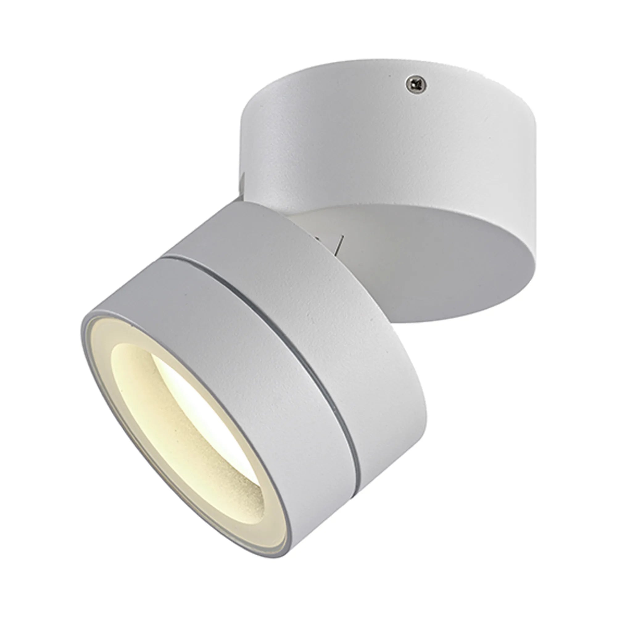 Saler Adjustable Outdoor Ceiling Spotlight/Wall Light- Various Finishes