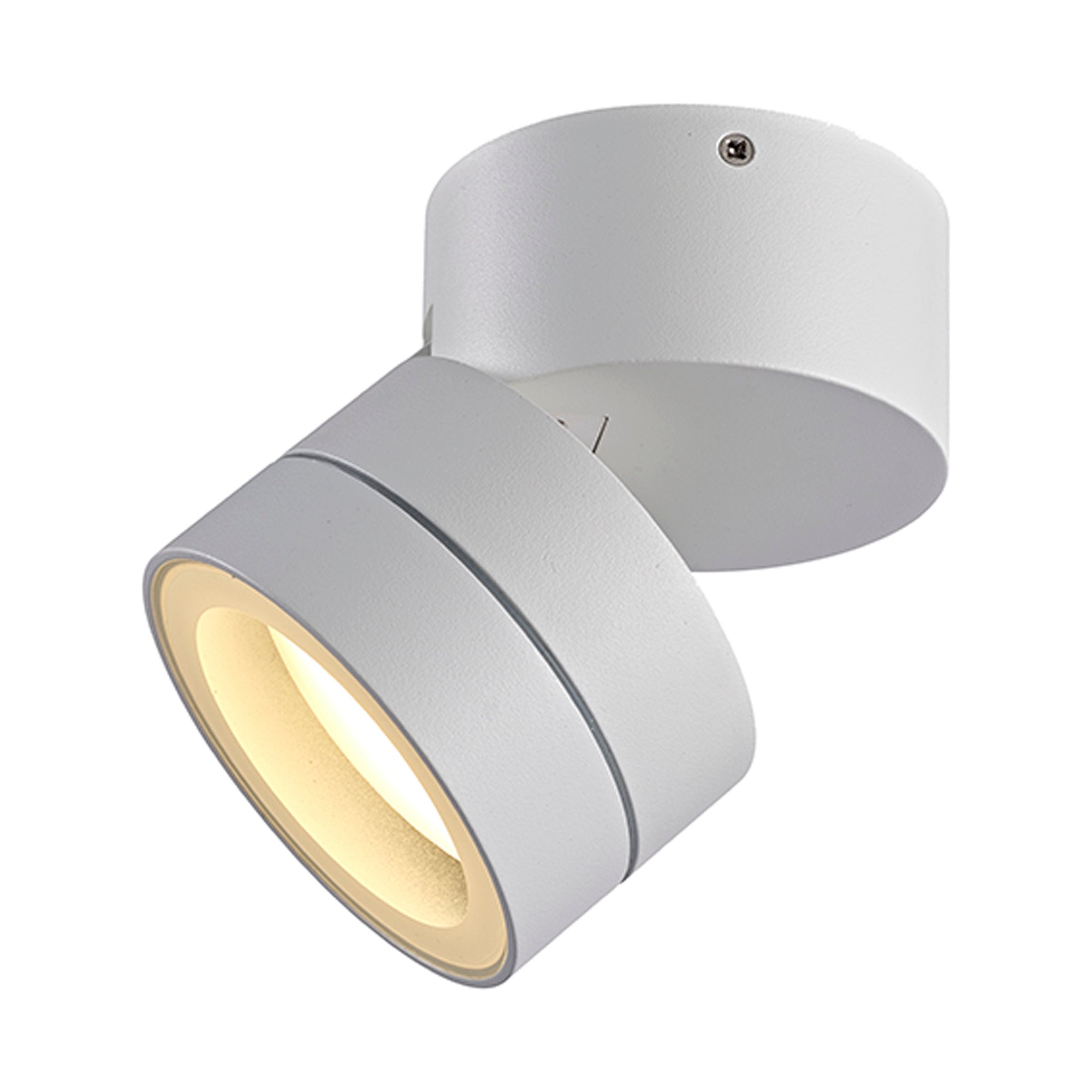 Saler Adjustable Outdoor Ceiling Spotlight/Wall Light- Various Finishes