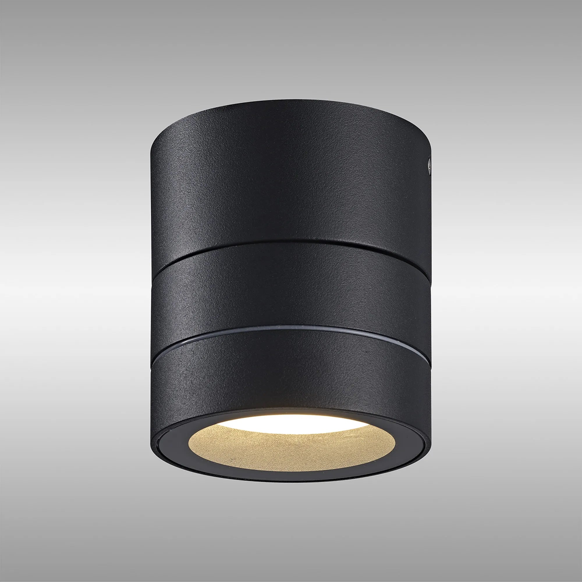 Saler Adjustable Outdoor Ceiling Spotlight/Wall Light- Various Finishes