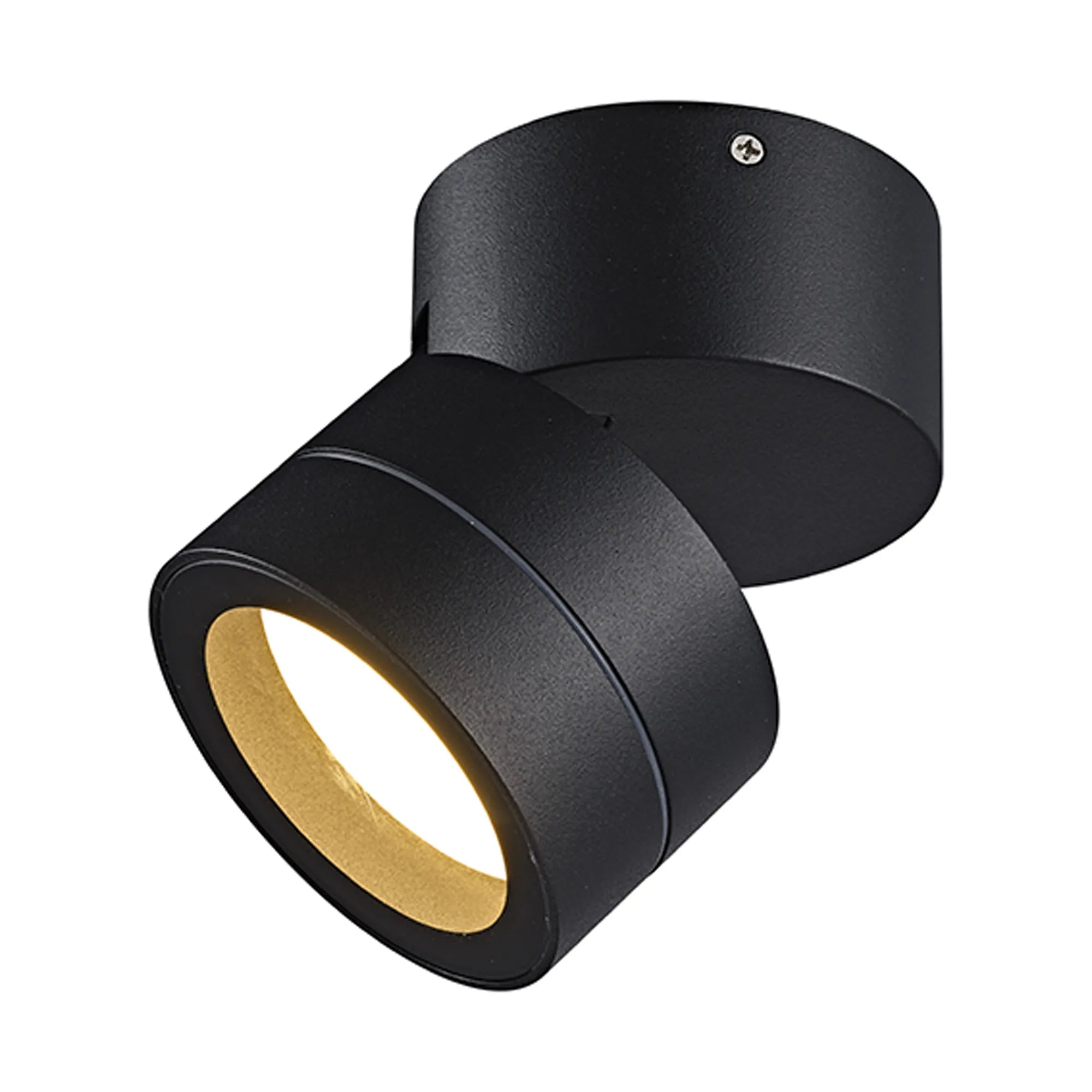 Saler Adjustable Outdoor Ceiling Spotlight/Wall Light- Various Finishes